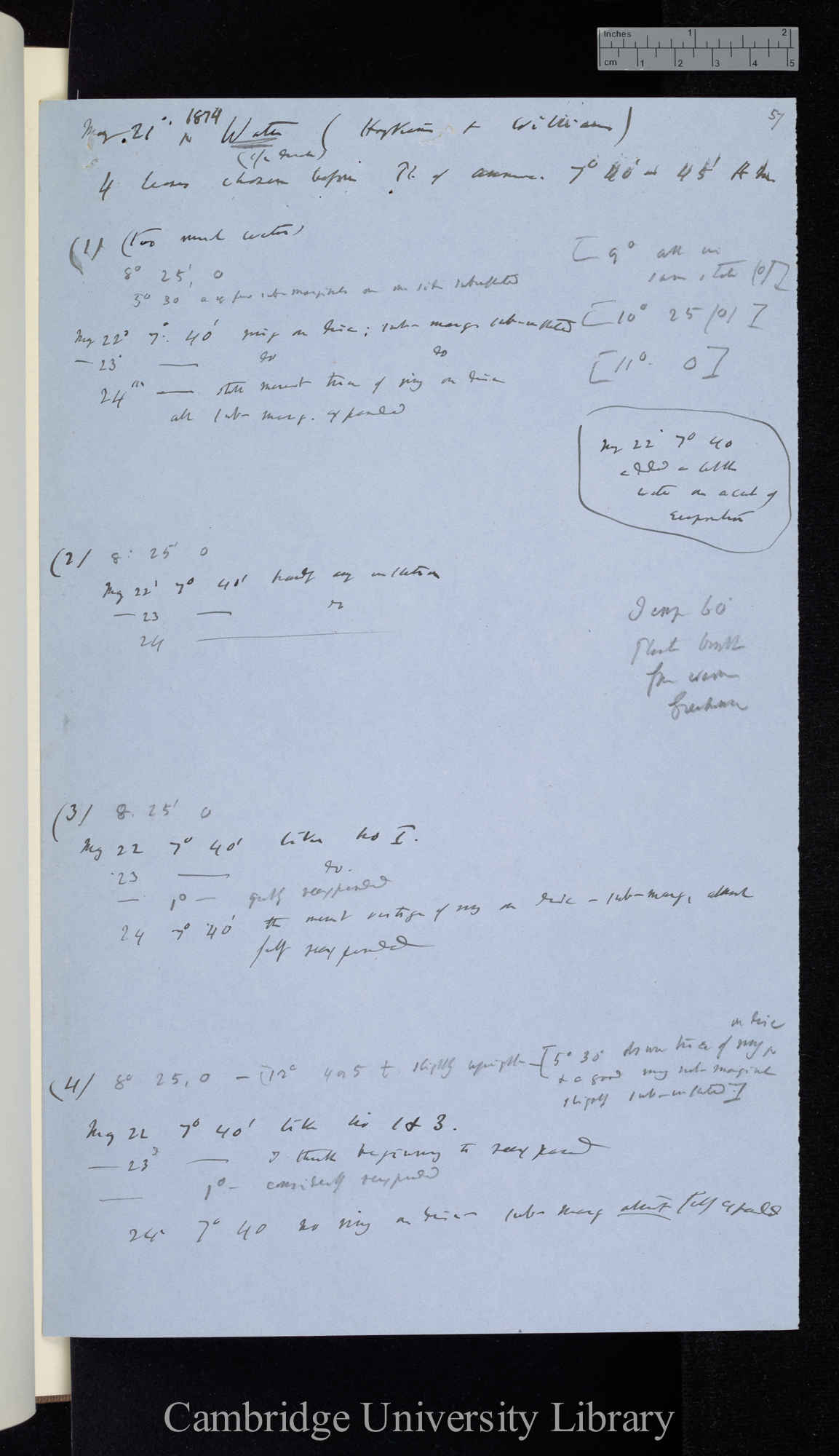 Water (Hopkins &amp; Williams) / 4 leaves chosen before Ph[osphate] of Ammonia