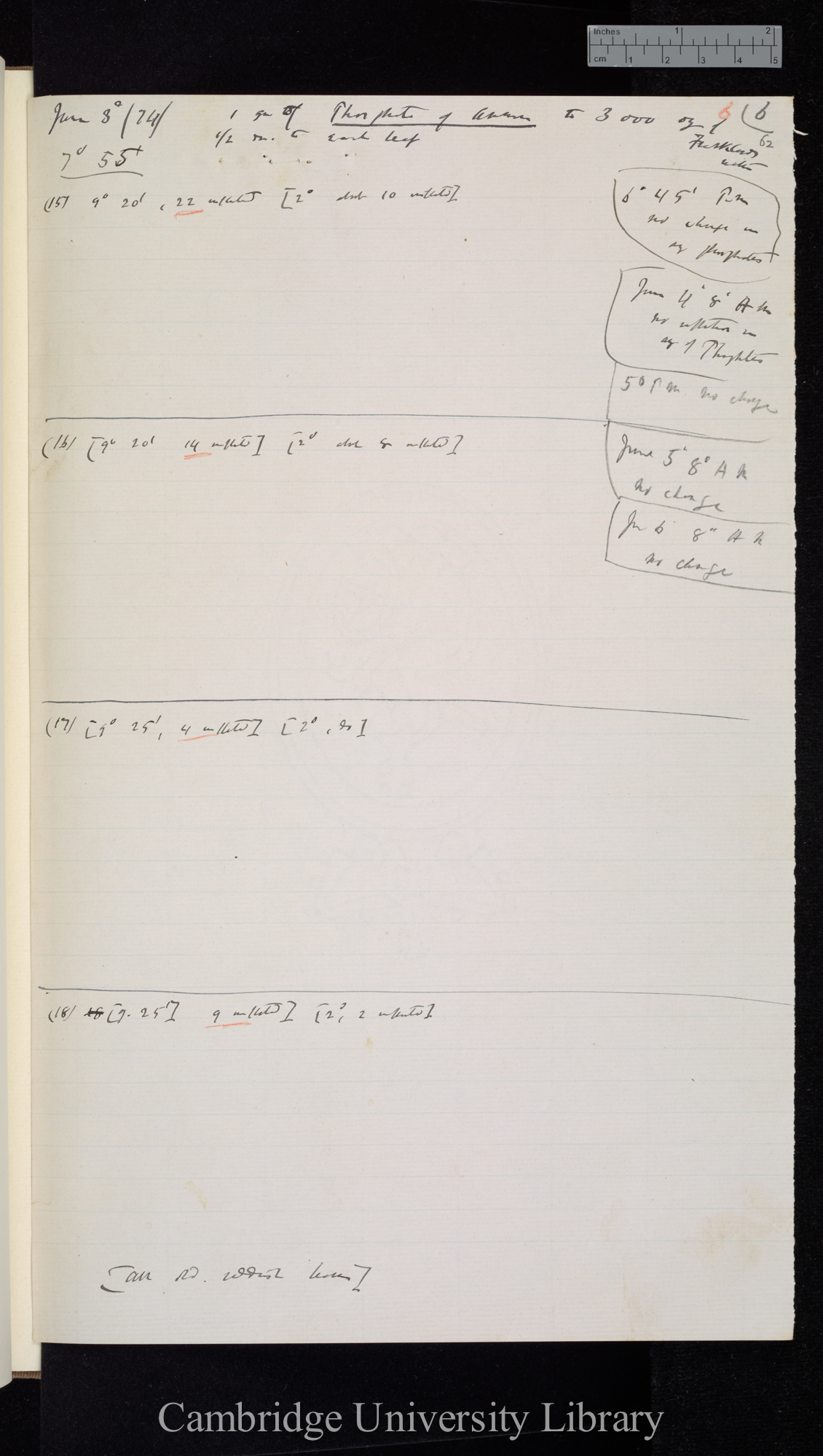 Phosph[ate] of Ammonia 1 gr to 3000 oz Frankland&#39;s water [also to 5000 oz] / Frankland&#39;s water