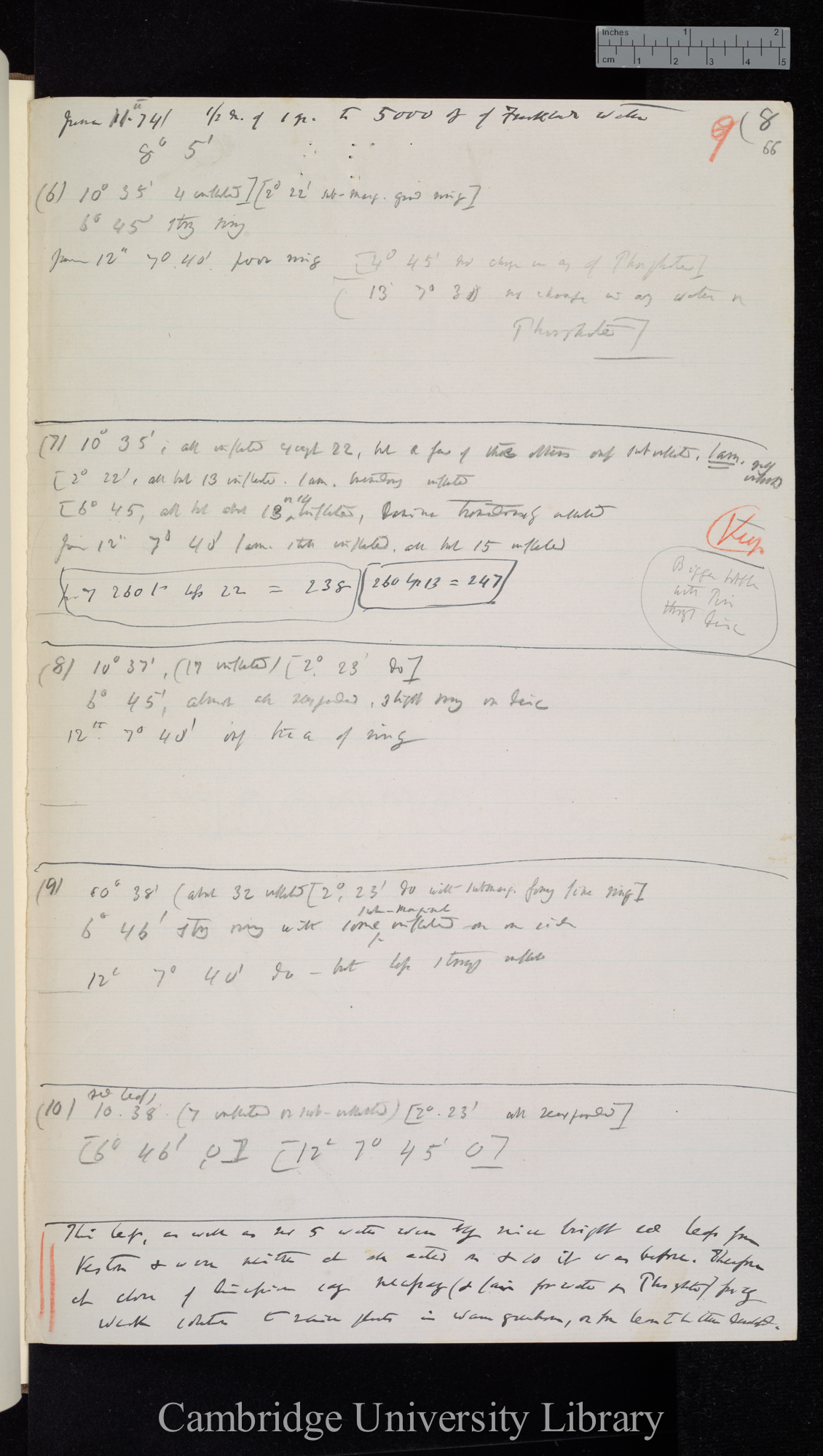 Phosph[ate] of Ammonia 1 gr to 3000 oz Frankland&#39;s water [also to 5000 oz] / Frankland&#39;s water