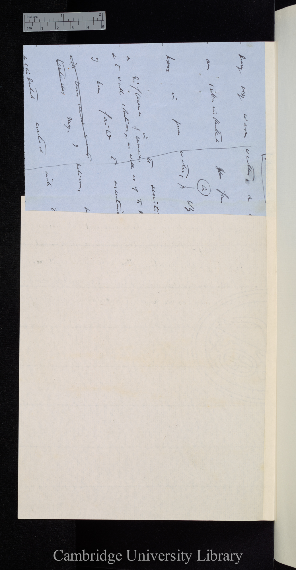 [draft text, related to note on reverse?] [fragment only]