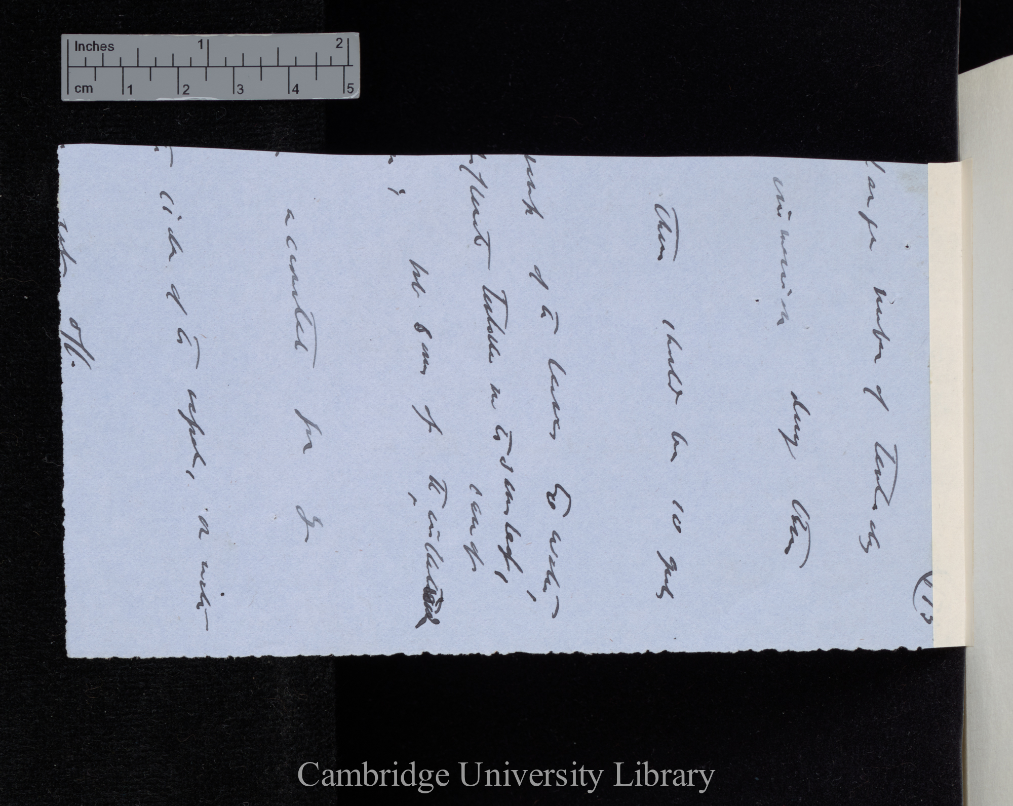 [draft text, Ms p 175, related to note on reverse?] [fragment only]