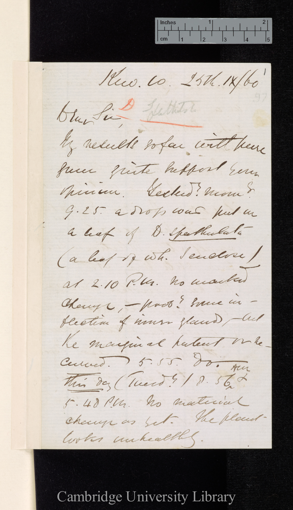 Daniel Oliver to Charles Robert Darwin