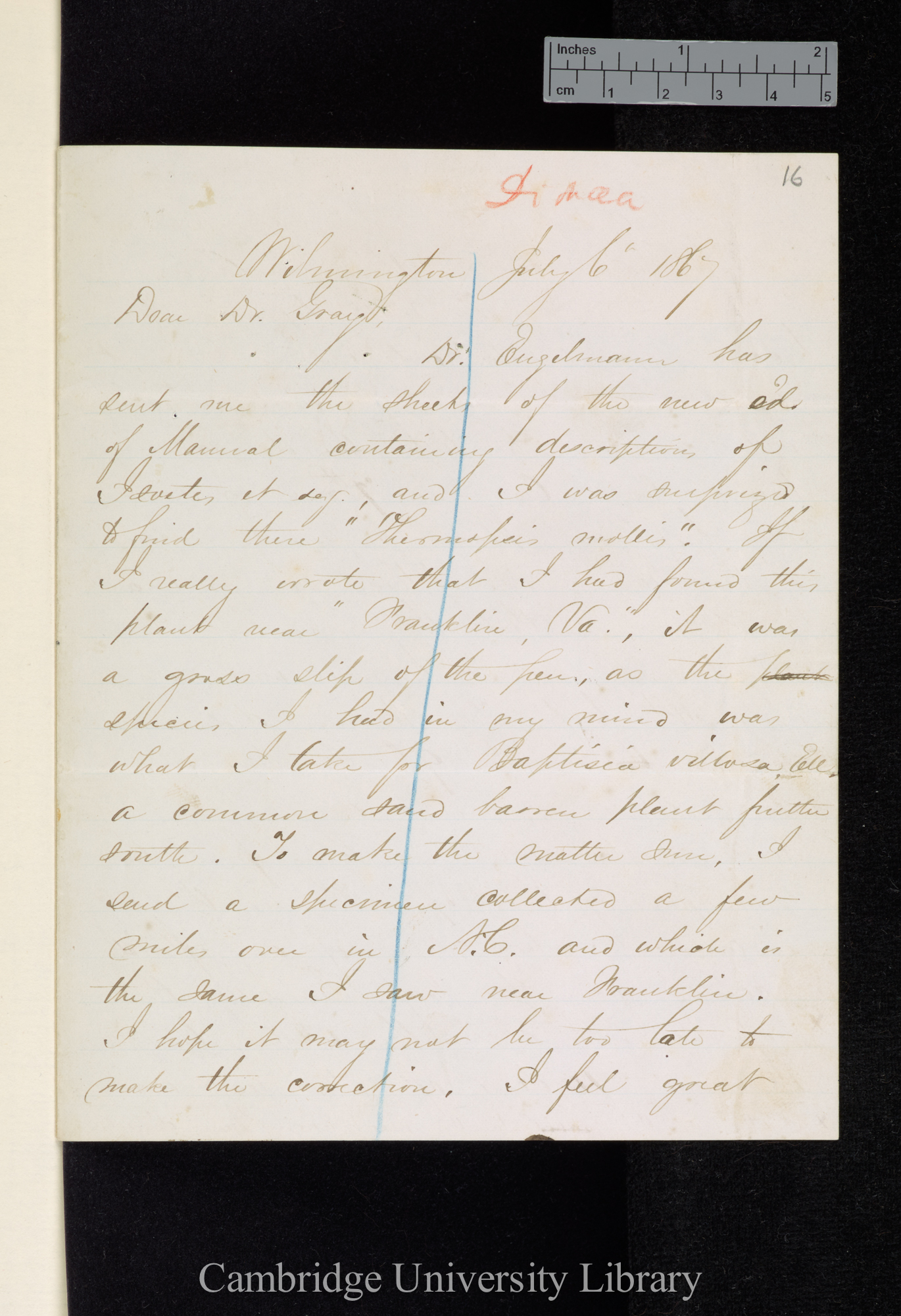 Asa Gray to Sir Joseph Dalton Hooker