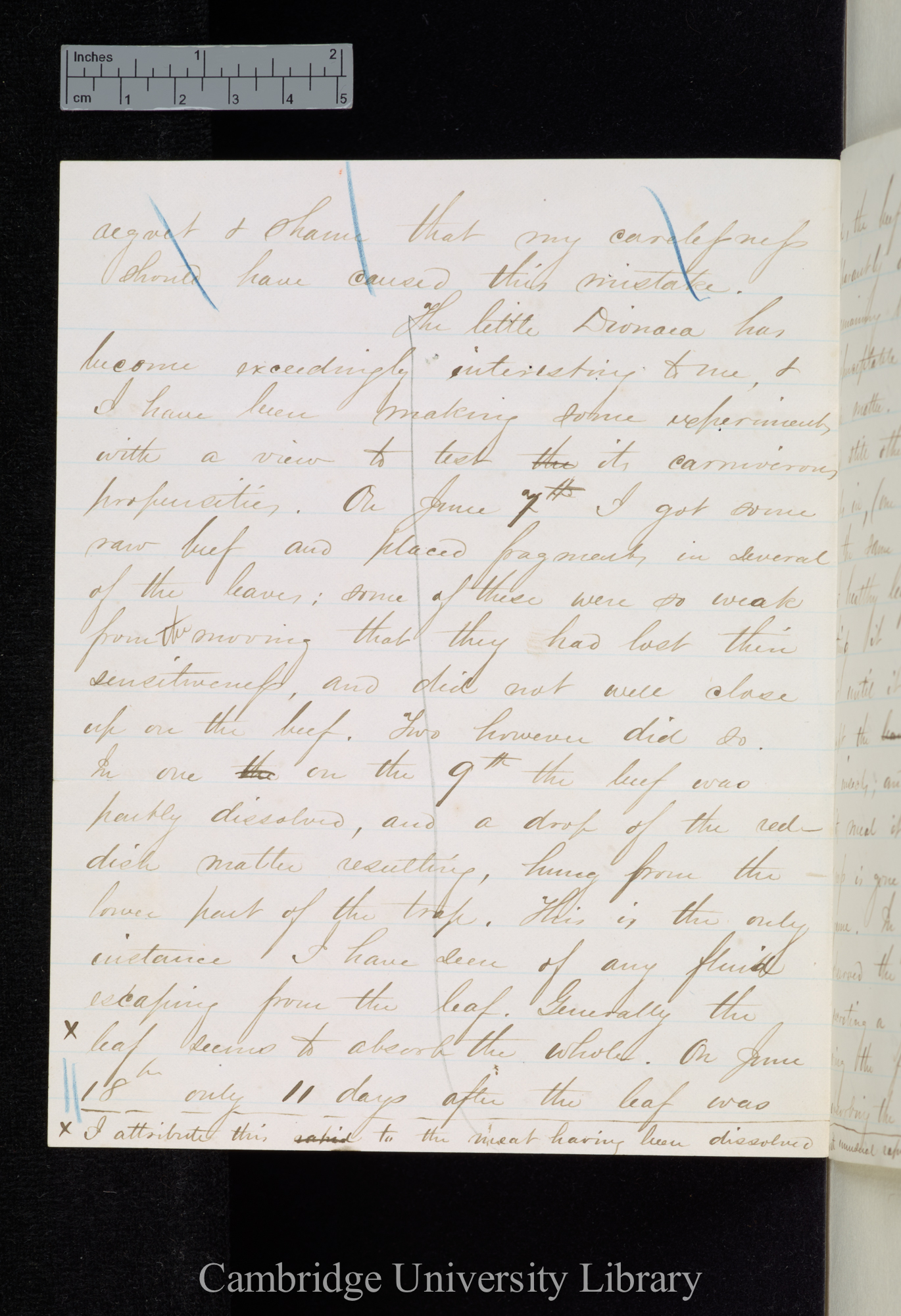 Asa Gray to Sir Joseph Dalton Hooker