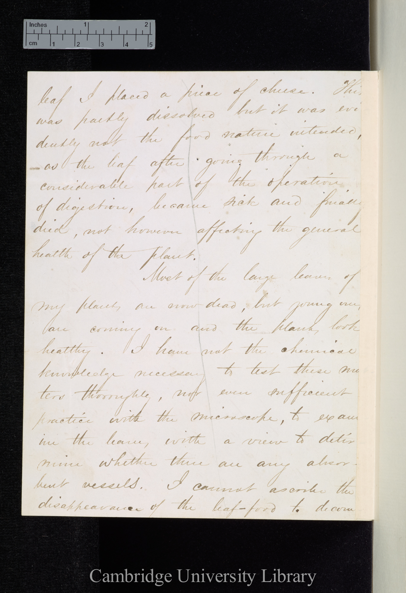 Asa Gray to Sir Joseph Dalton Hooker