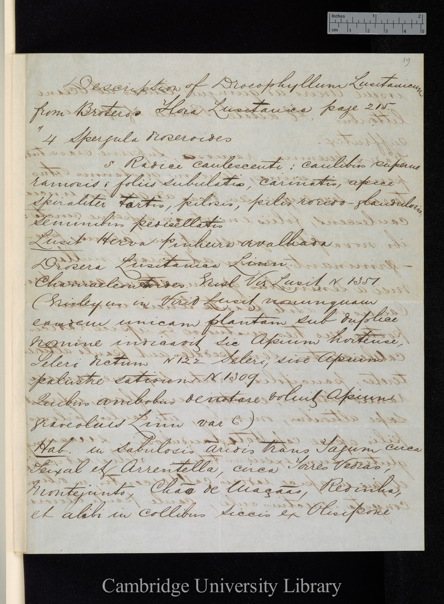 William Chester Tait to Charles Robert Darwin