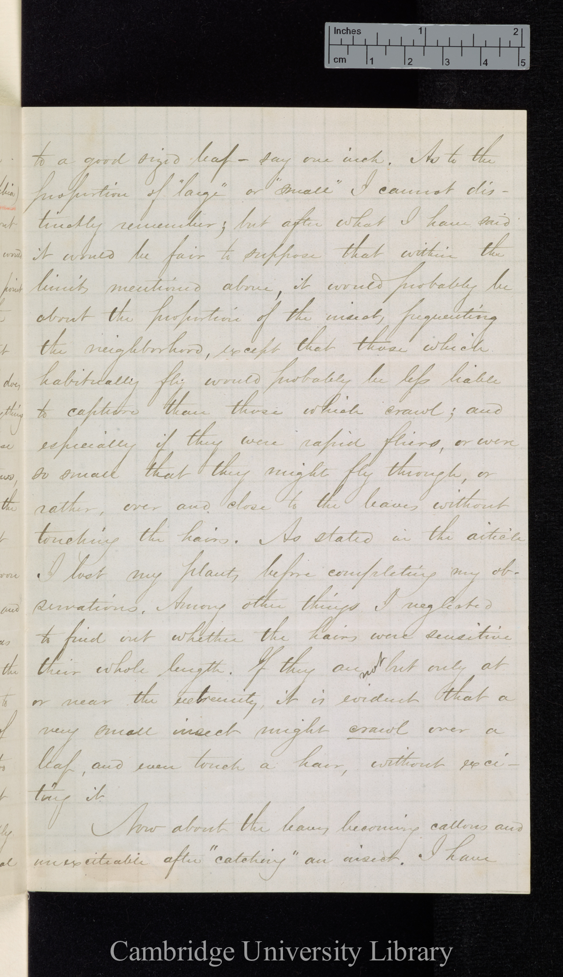 William Marriott Canby to Charles Robert Darwin
