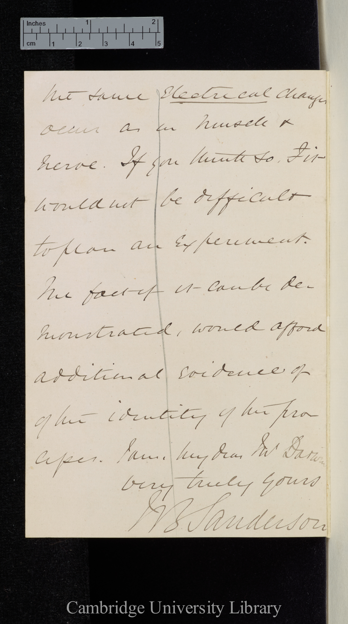 Sir John Scott Burdon Sanderson to Charles Robert Darwin