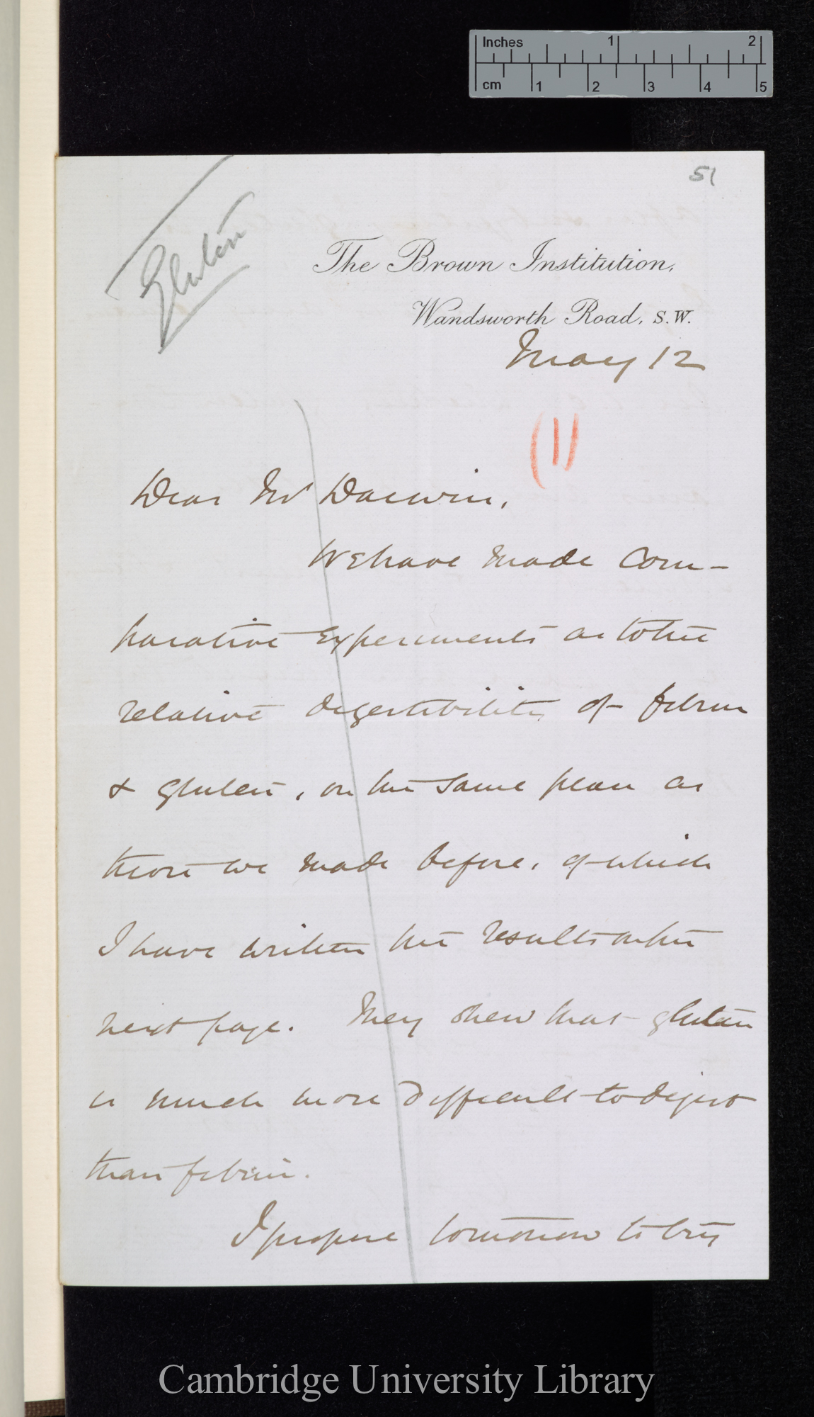 Sir John Scott Burdon Sanderson to Charles Robert Darwin