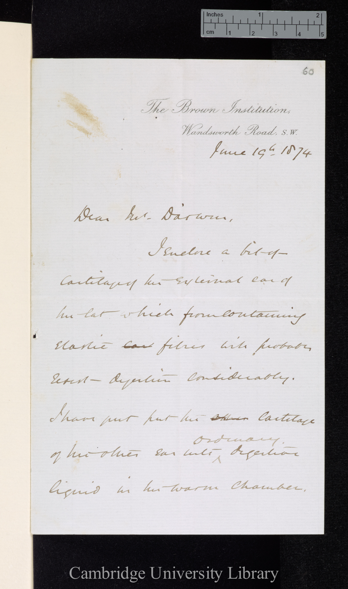 Sir John Scott Burdon Sanderson to Charles Robert Darwin