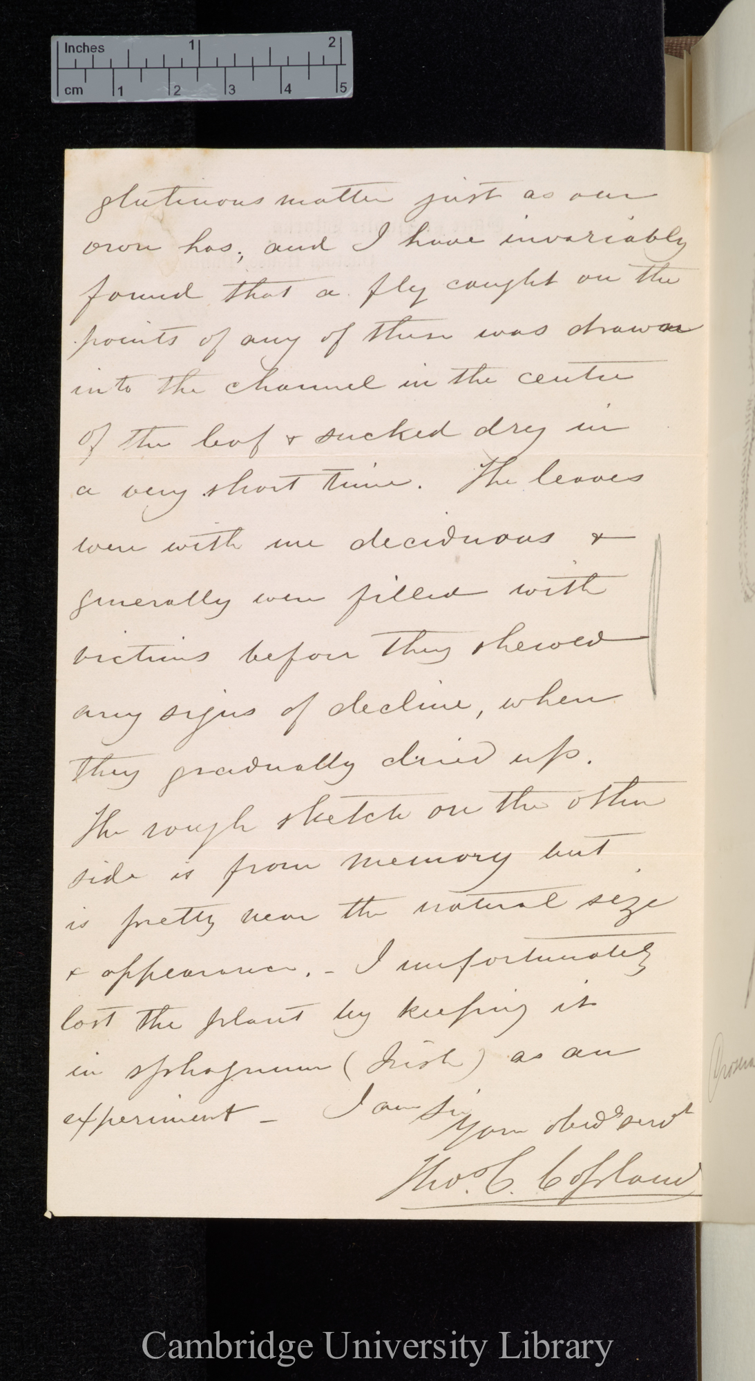 Thomas Copland to Charles Robert Darwin