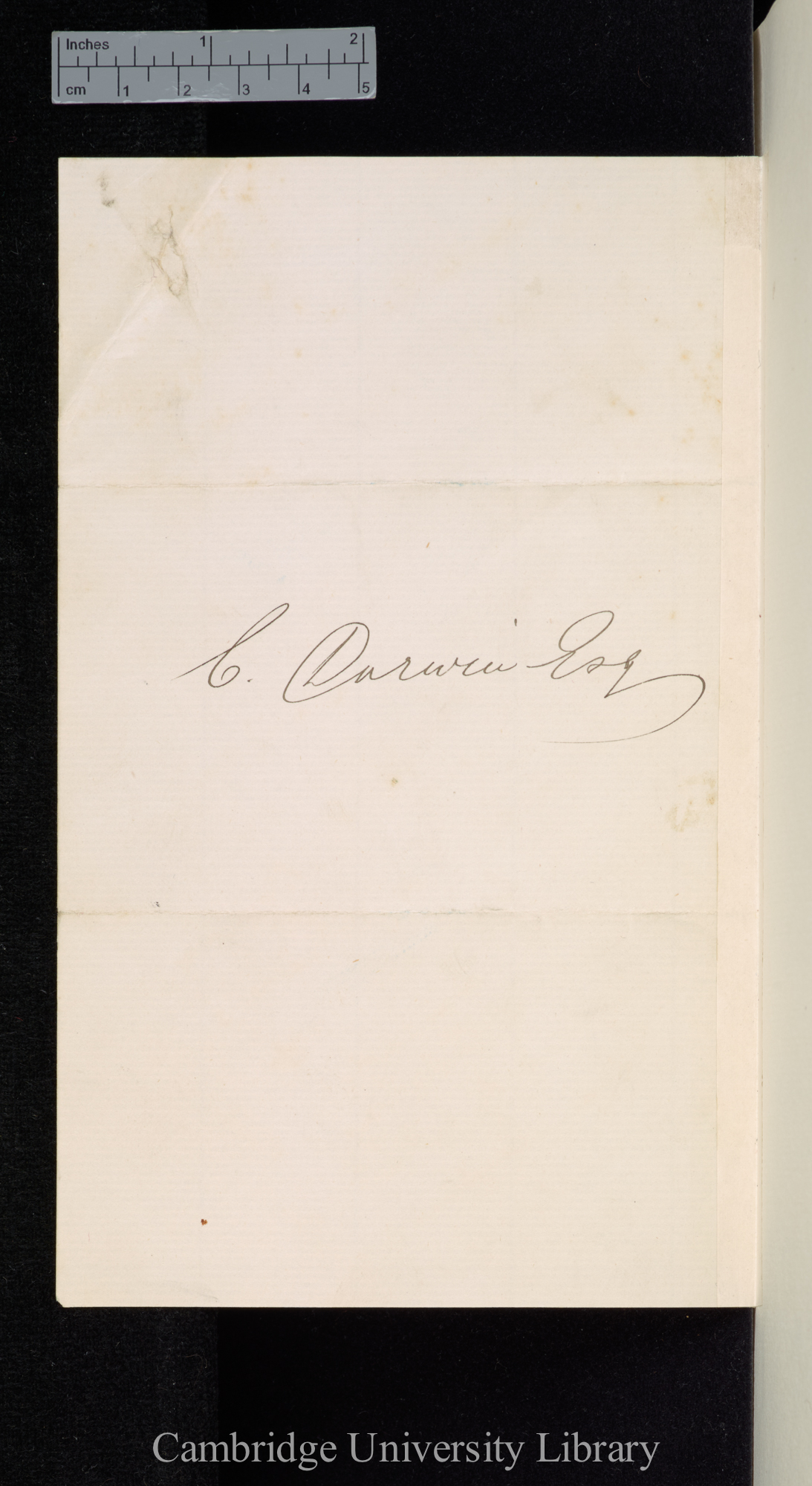 Thomas Copland to Charles Robert Darwin