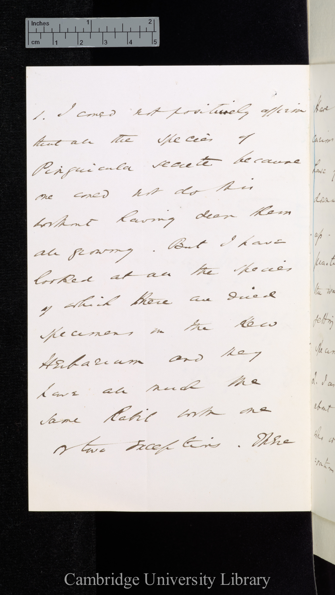 [Sir William Turner Thiselton-Dyer] to Charles Robert Darwin