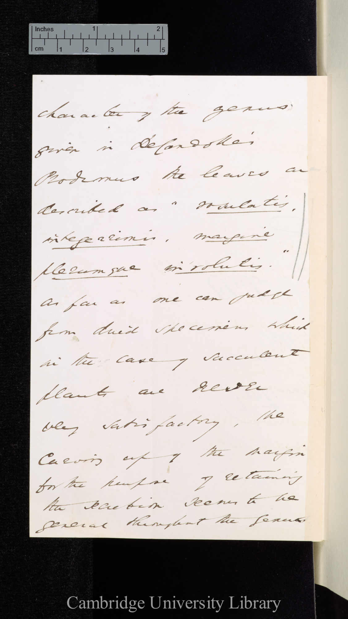 [Sir William Turner Thiselton-Dyer] to Charles Robert Darwin