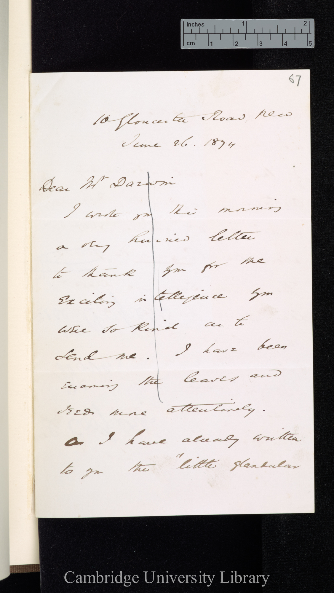 [Sir William Turner Thiselton-Dyer] to Charles Robert Darwin