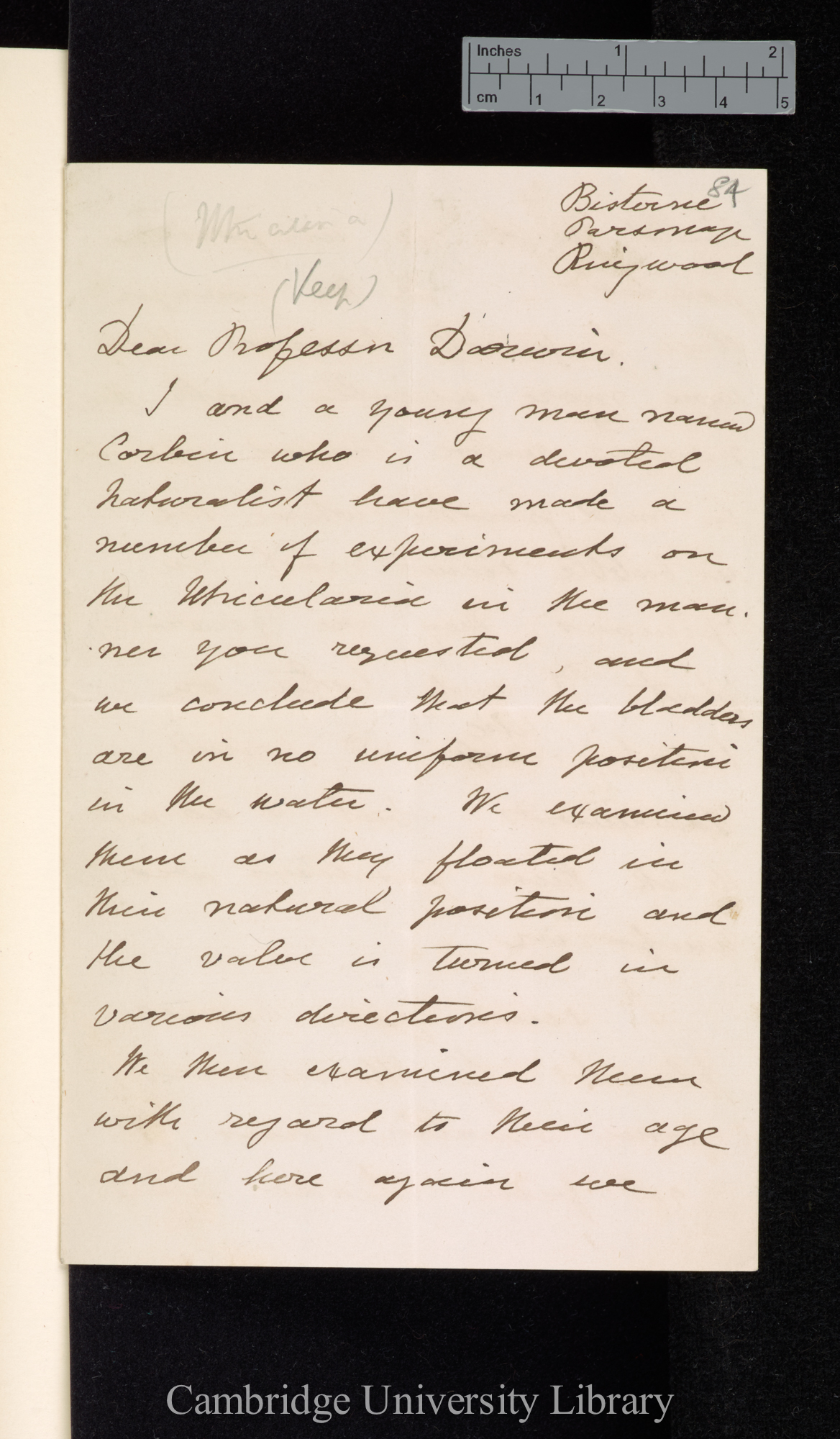 Henry Marlow Wilkinson to Charles Robert Darwin