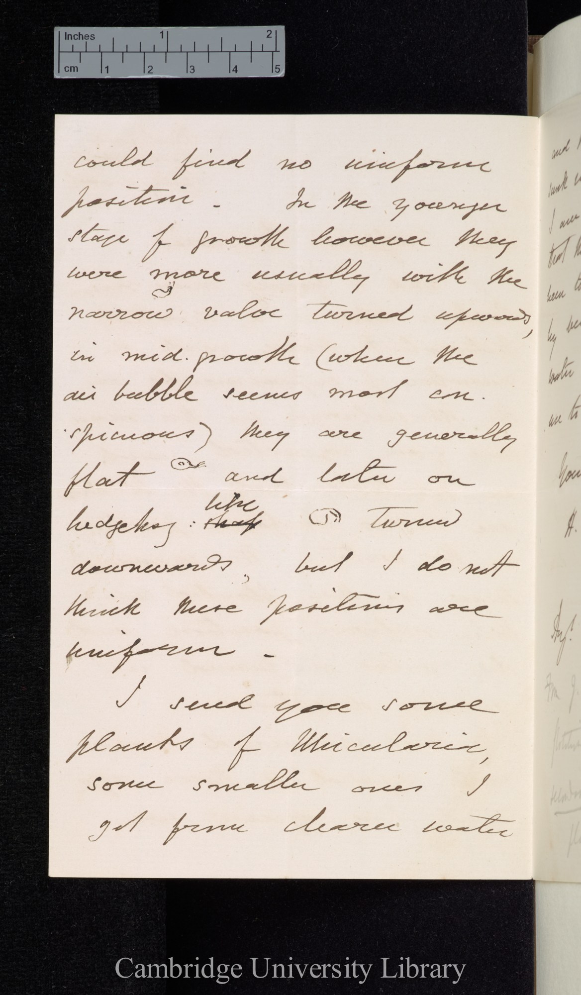 Henry Marlow Wilkinson to Charles Robert Darwin