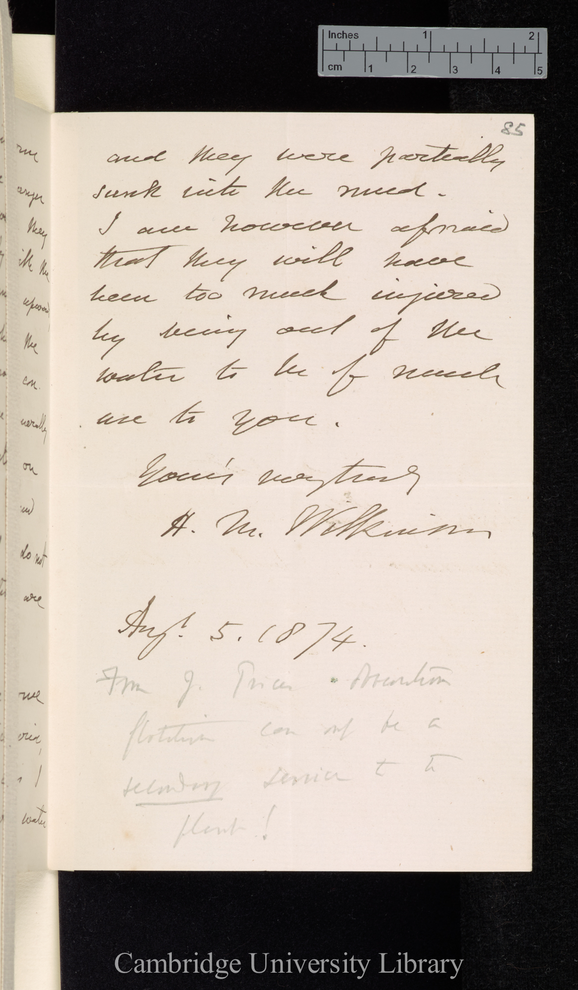 Henry Marlow Wilkinson to Charles Robert Darwin