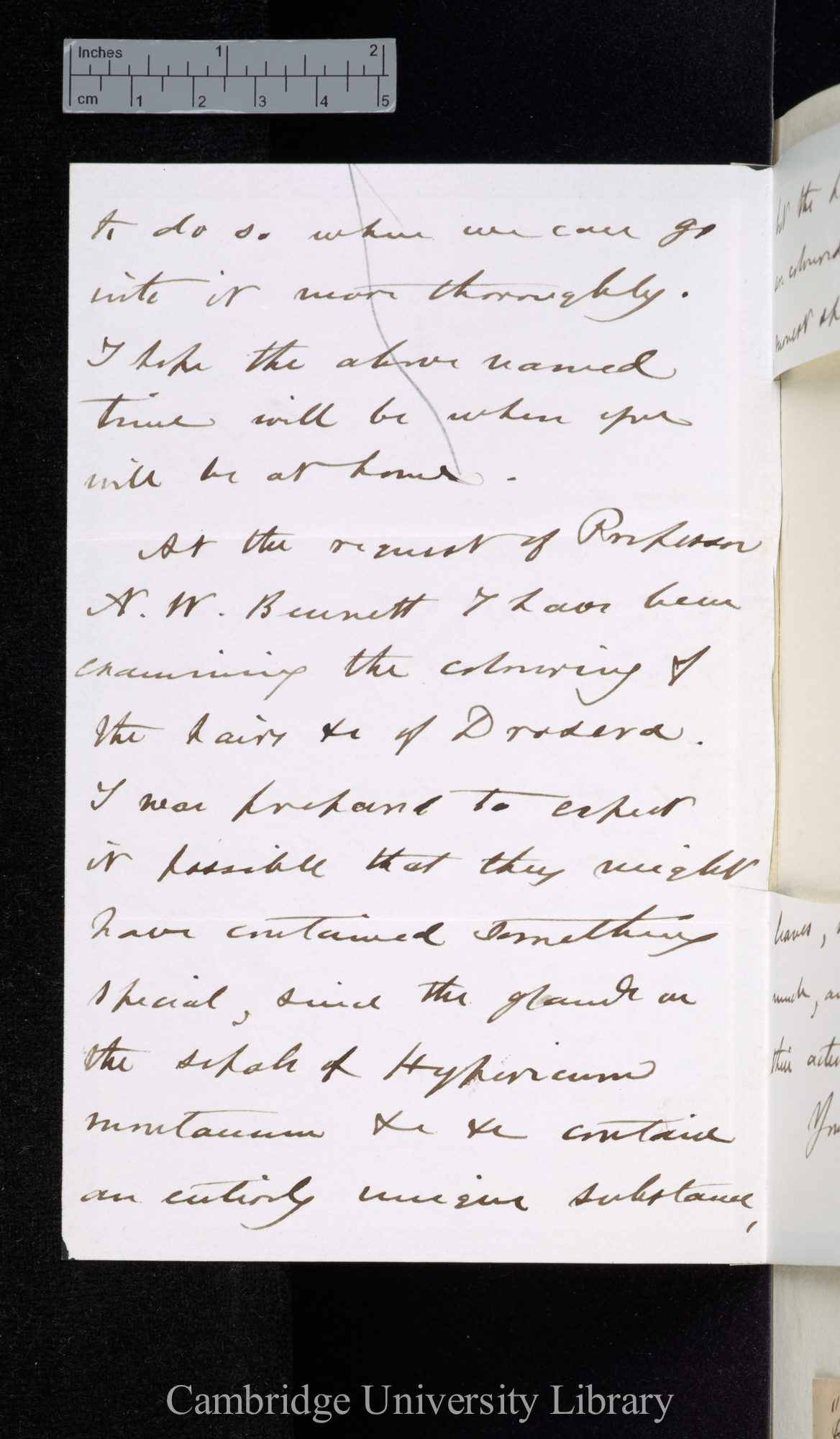 Henry Clifton Sorby to Charles Robert Darwin