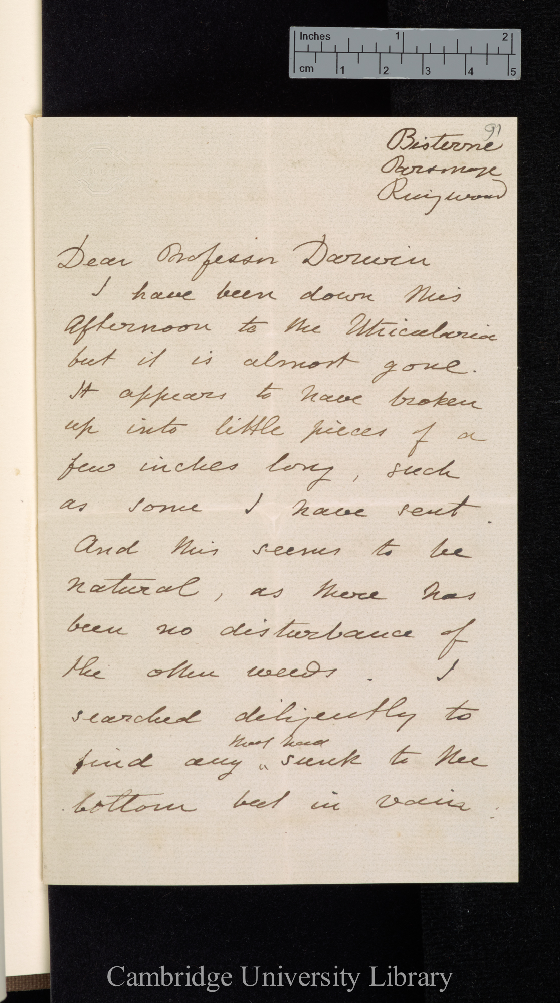 Henry Marlow Wilkinson to Charles Robert Darwin