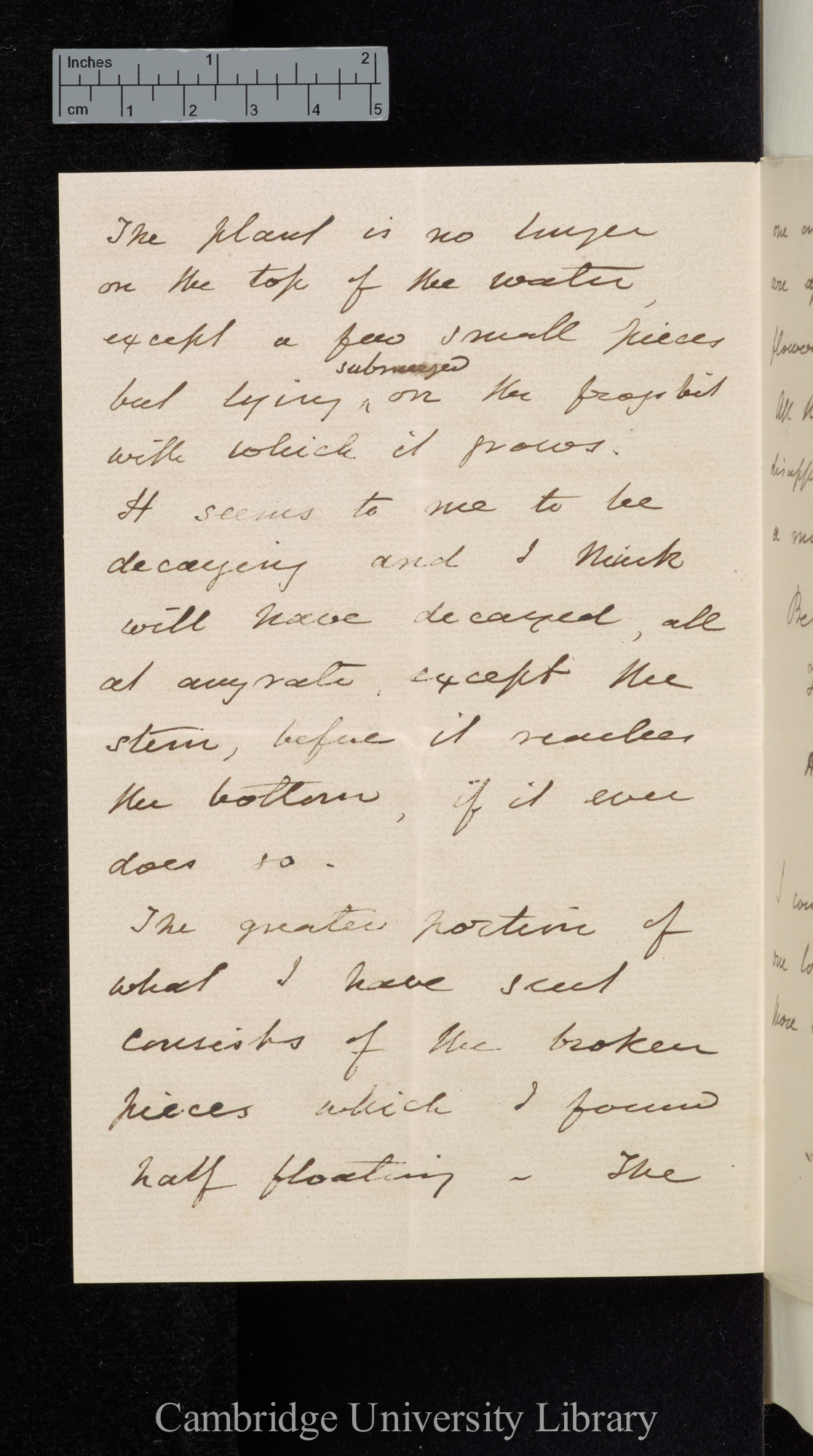 Henry Marlow Wilkinson to Charles Robert Darwin