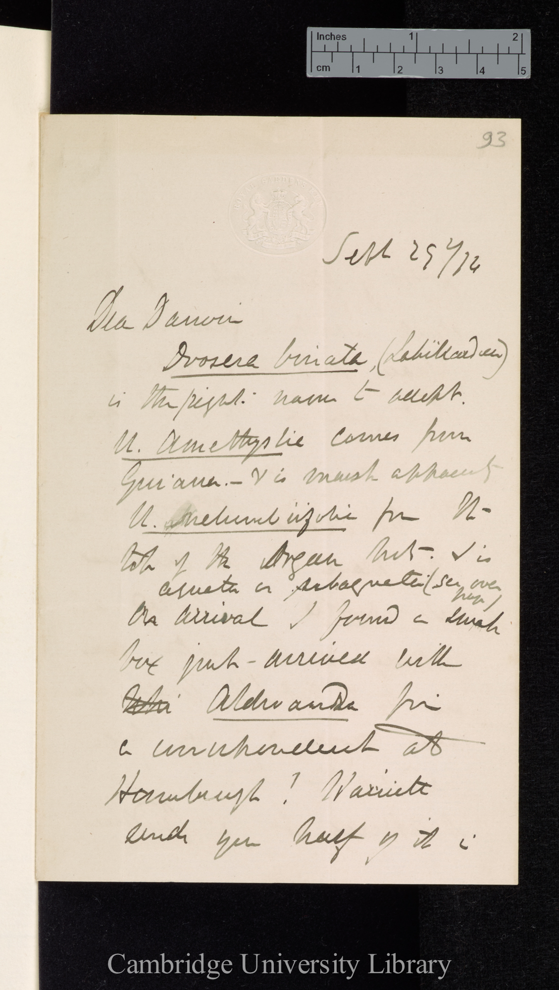 Sir Joseph Dalton Hooker to Charles Robert Darwin