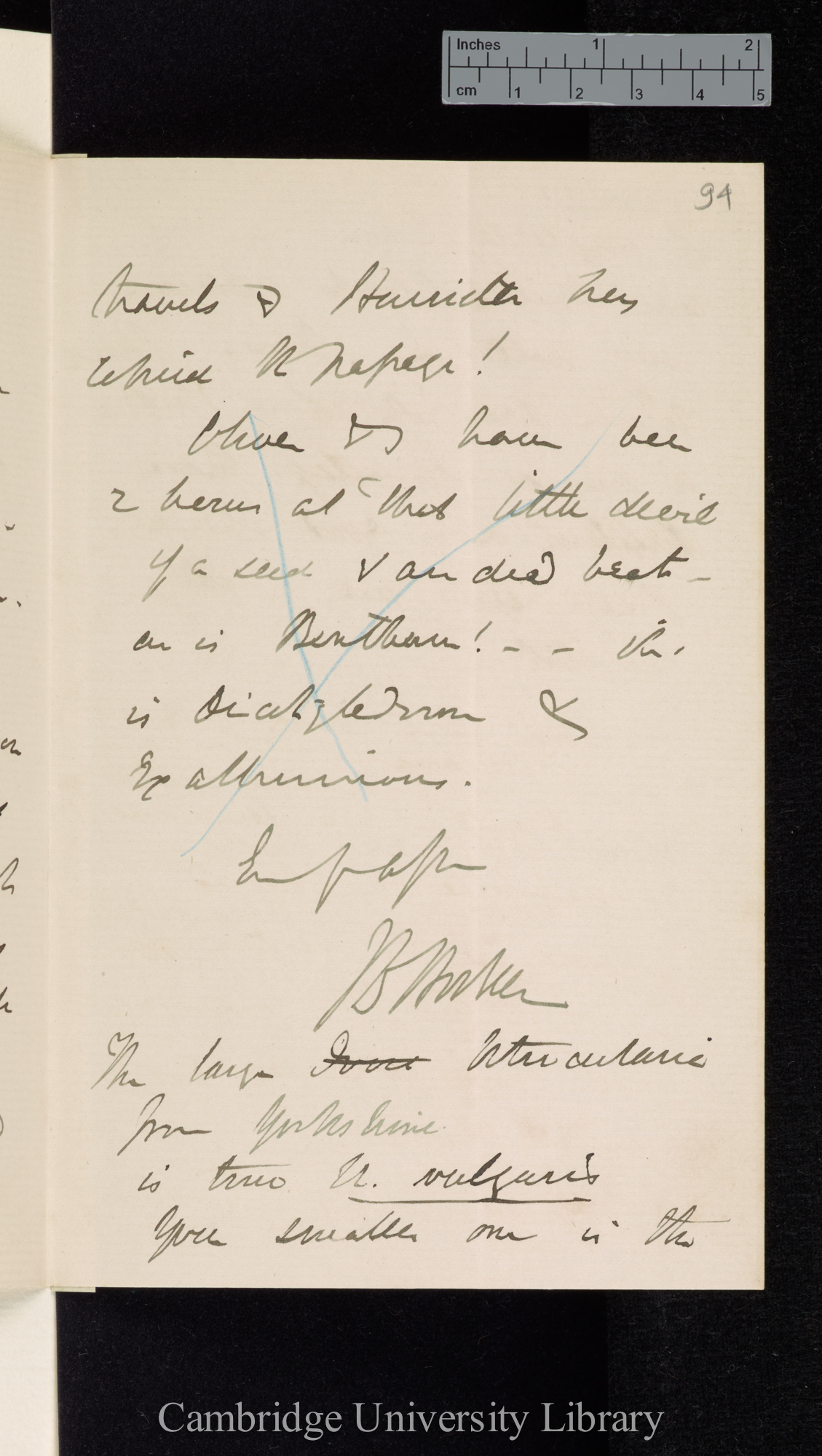 Sir Joseph Dalton Hooker to Charles Robert Darwin