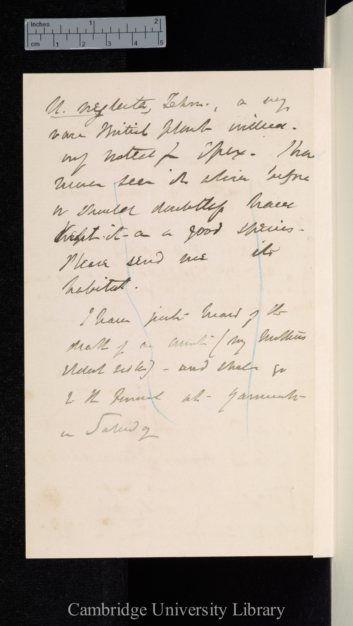 Sir Joseph Dalton Hooker to Charles Robert Darwin