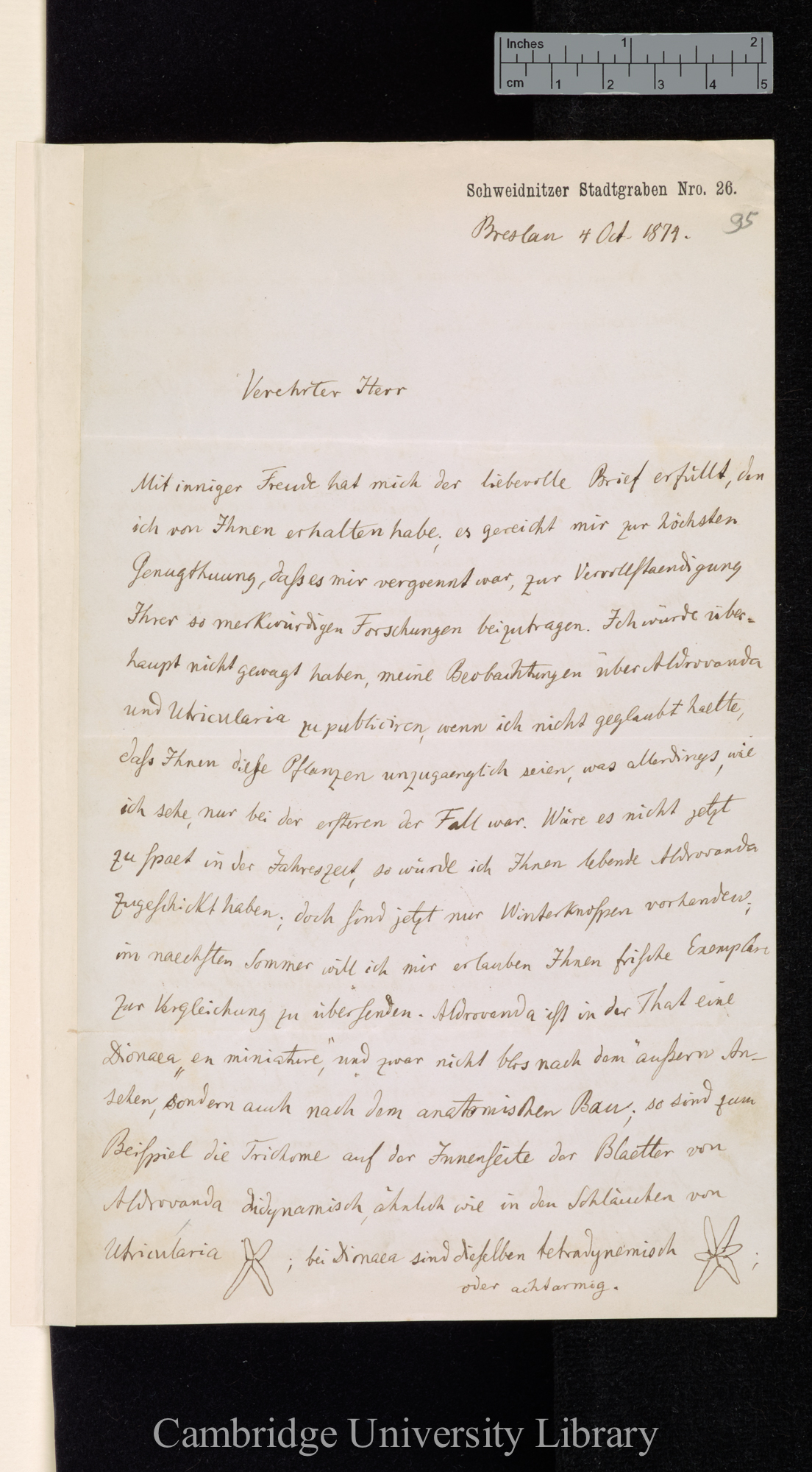 Ferdinand Cohn to Charles Robert Darwin