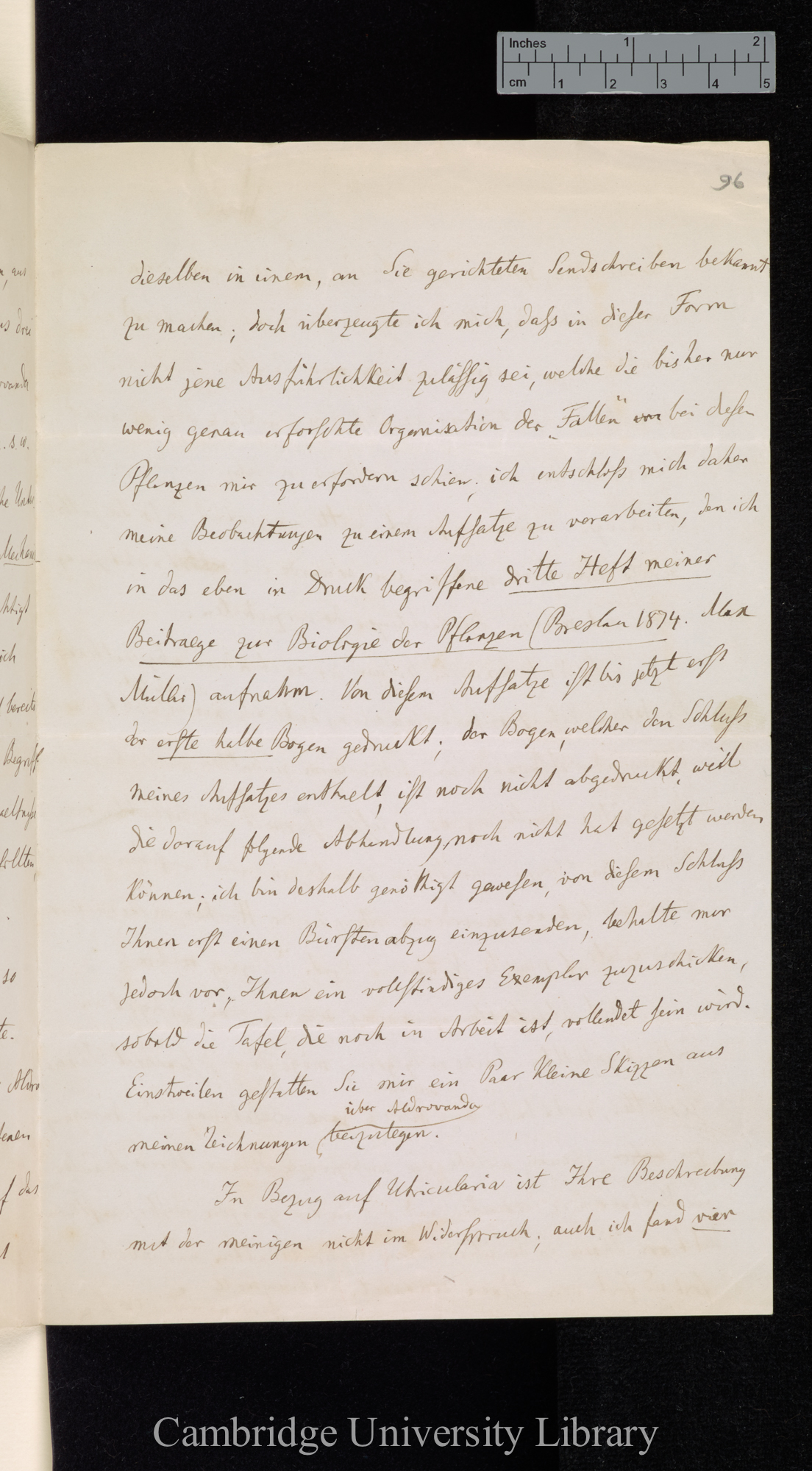 Ferdinand Cohn to Charles Robert Darwin