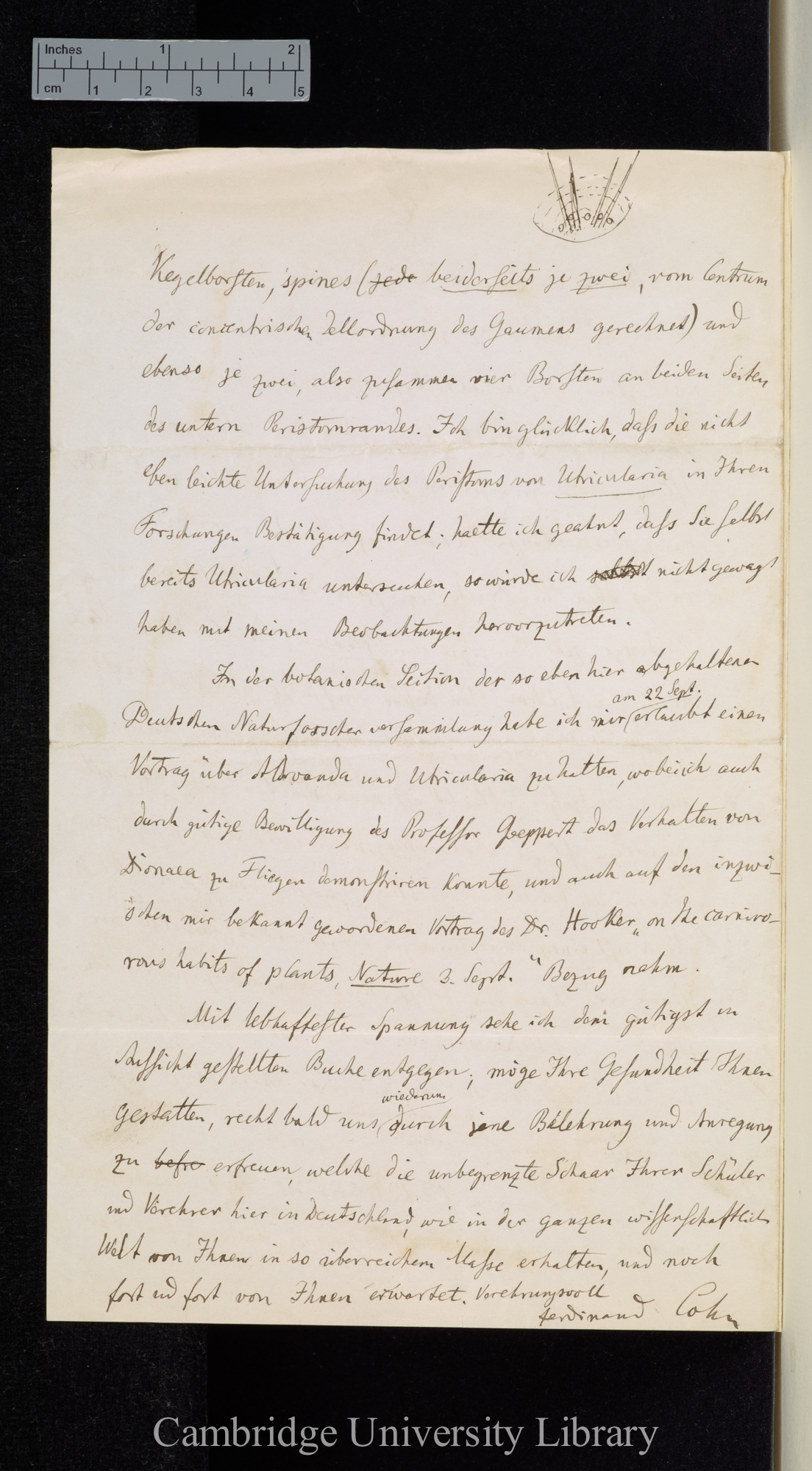 Ferdinand Cohn to Charles Robert Darwin