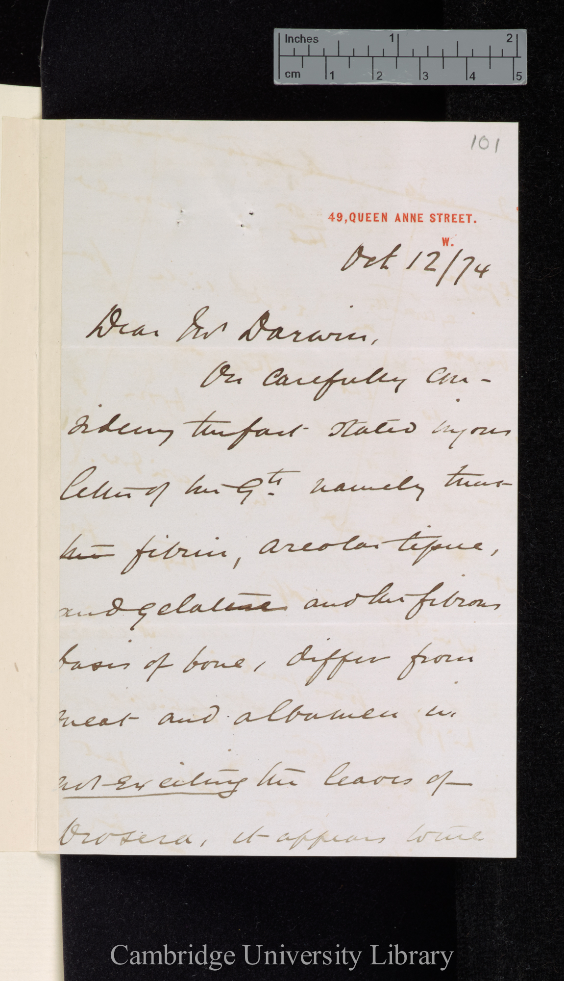 Sir John Scott Burdon Sanderson to Charles Robert Darwin