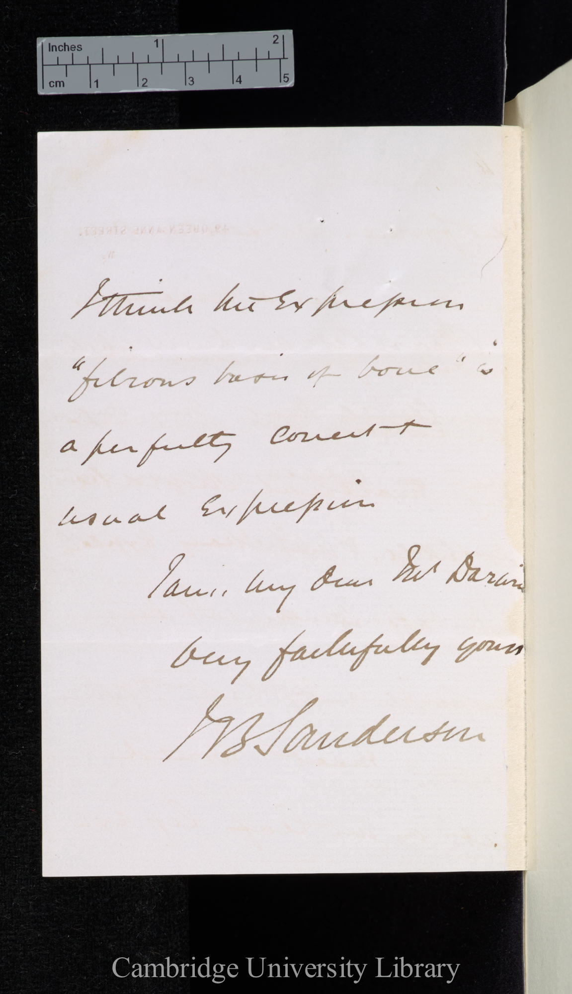 Sir John Scott Burdon Sanderson to Charles Robert Darwin