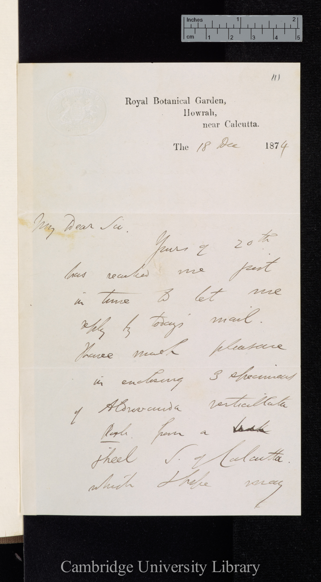 Sir George King to Charles Robert Darwin