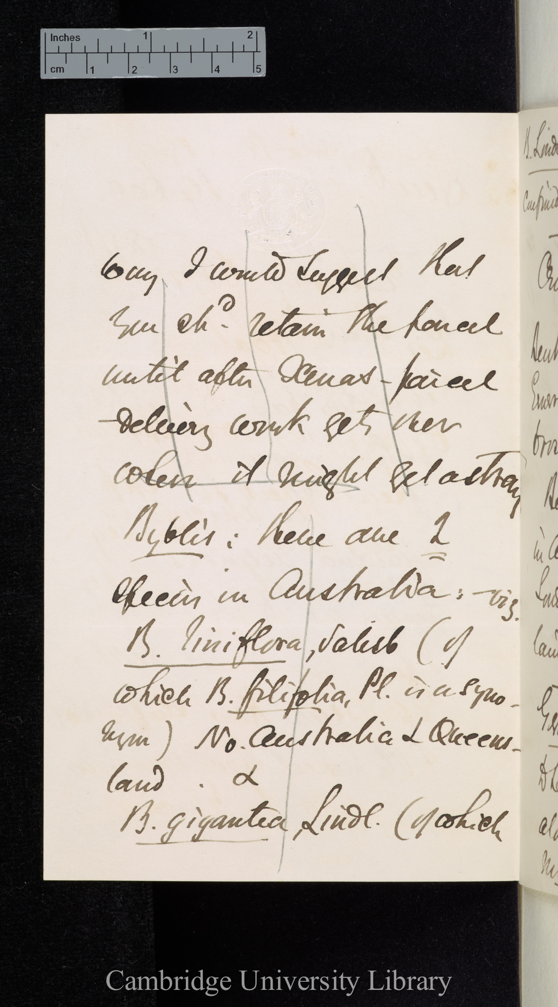 Daniel Oliver to Charles Robert Darwin