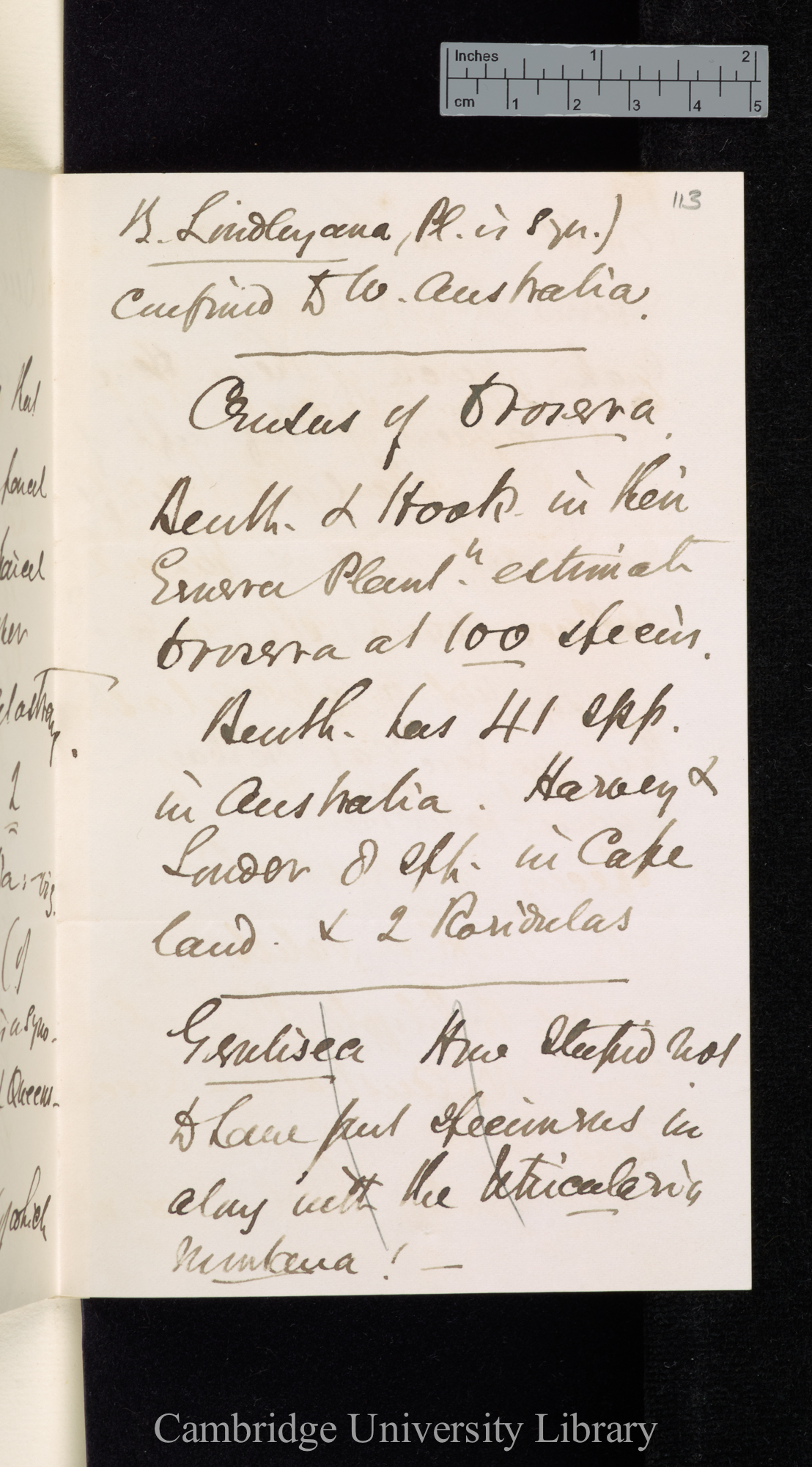 Daniel Oliver to Charles Robert Darwin