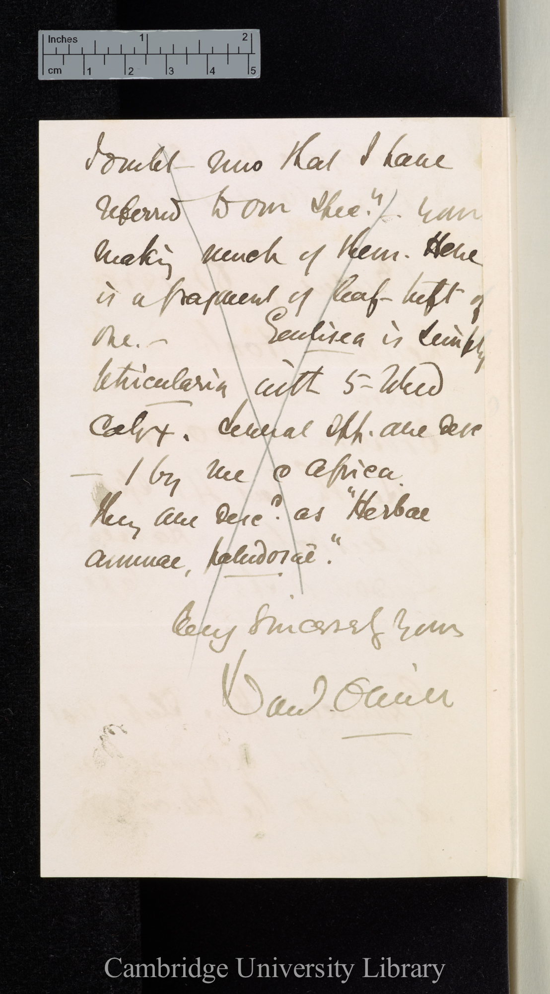 Daniel Oliver to Charles Robert Darwin