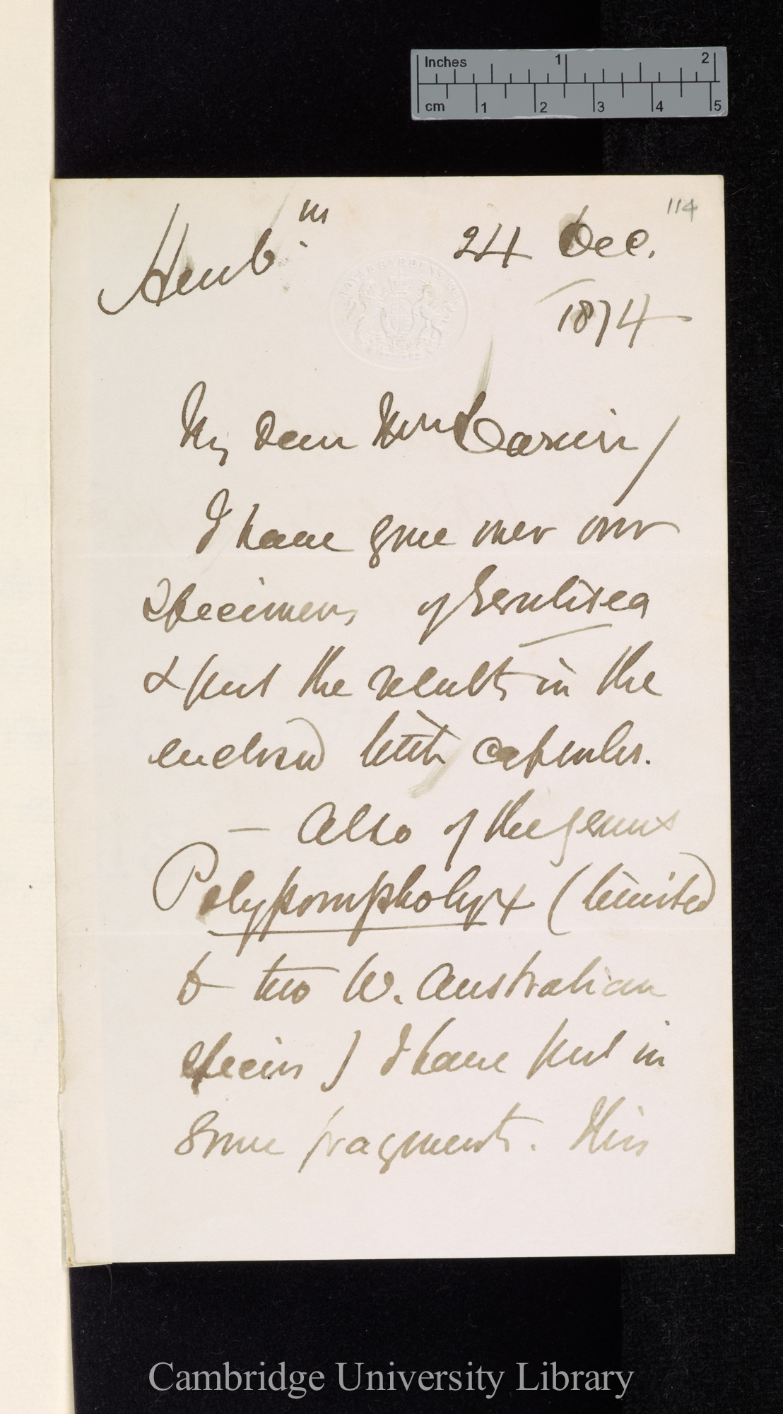 Daniel Oliver to Charles Robert Darwin