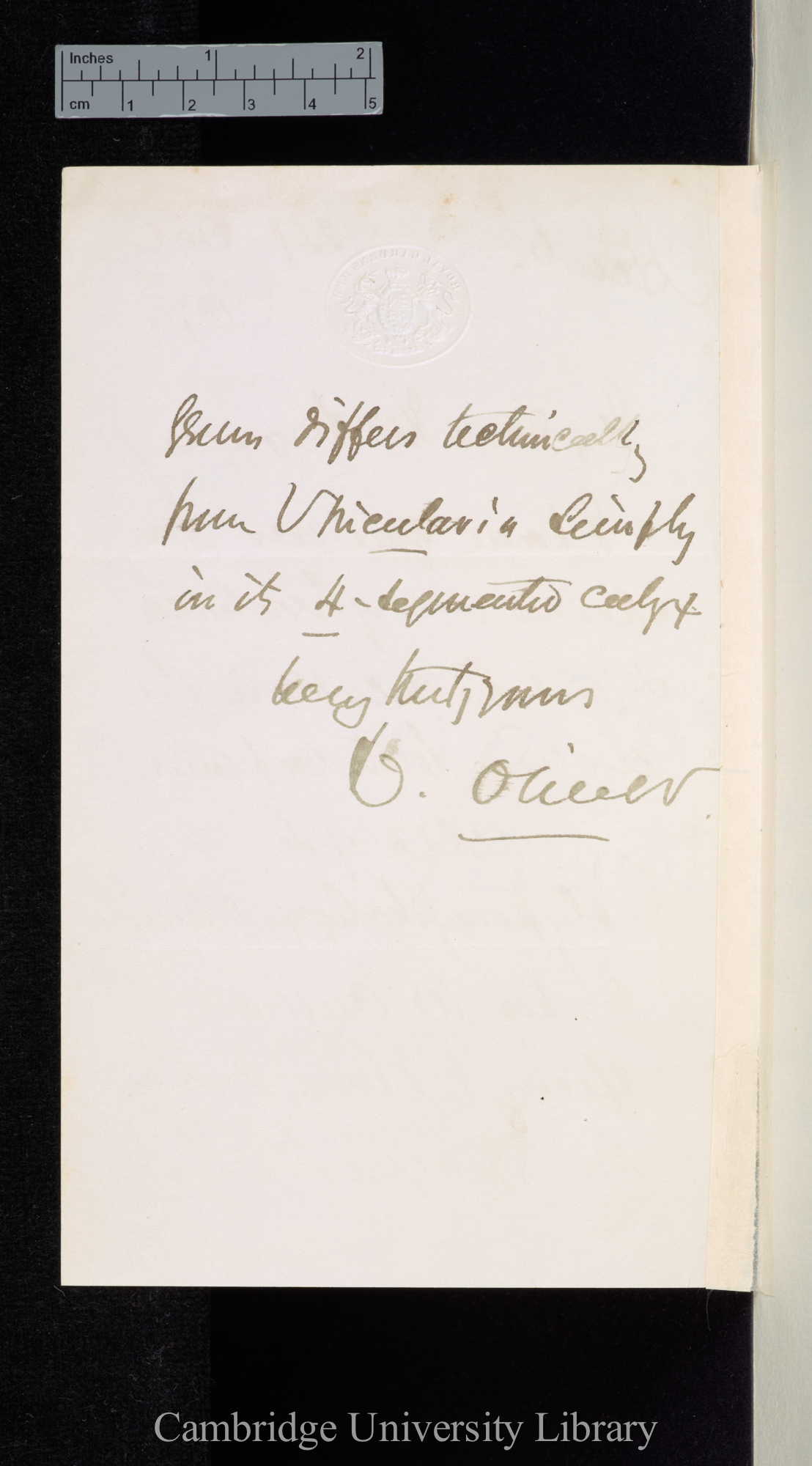 Daniel Oliver to Charles Robert Darwin