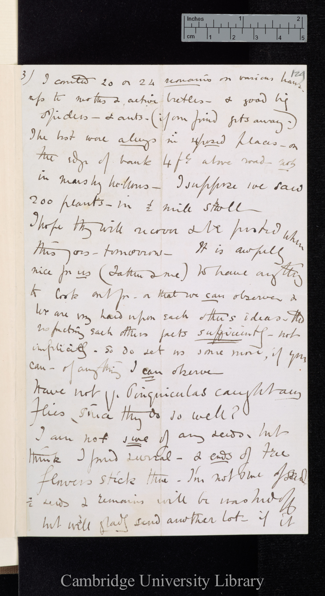 Theodosia Marshall to Charles Robert Darwin