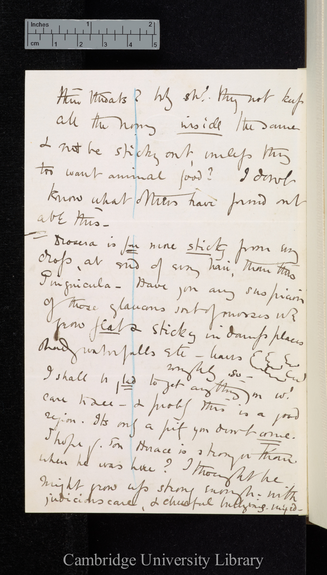 [Theodosia Marshall] to Charles Robert Darwin