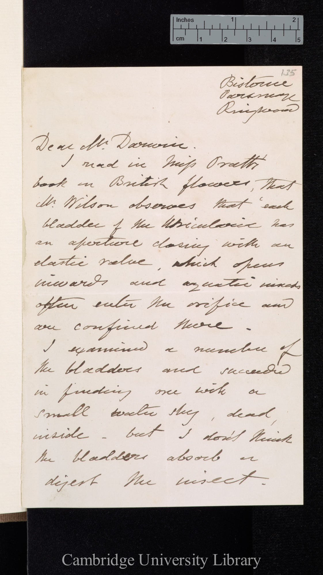 Henry Marlow Wilkinson to Charles Robert Darwin