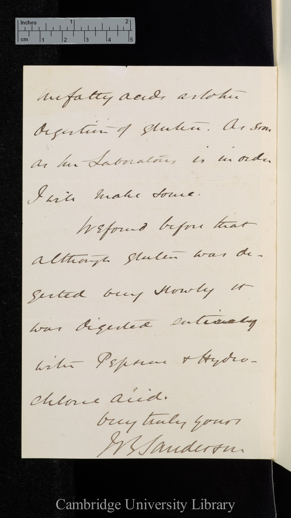 Sir John Scott Burdon Sanderson to Charles Robert Darwin