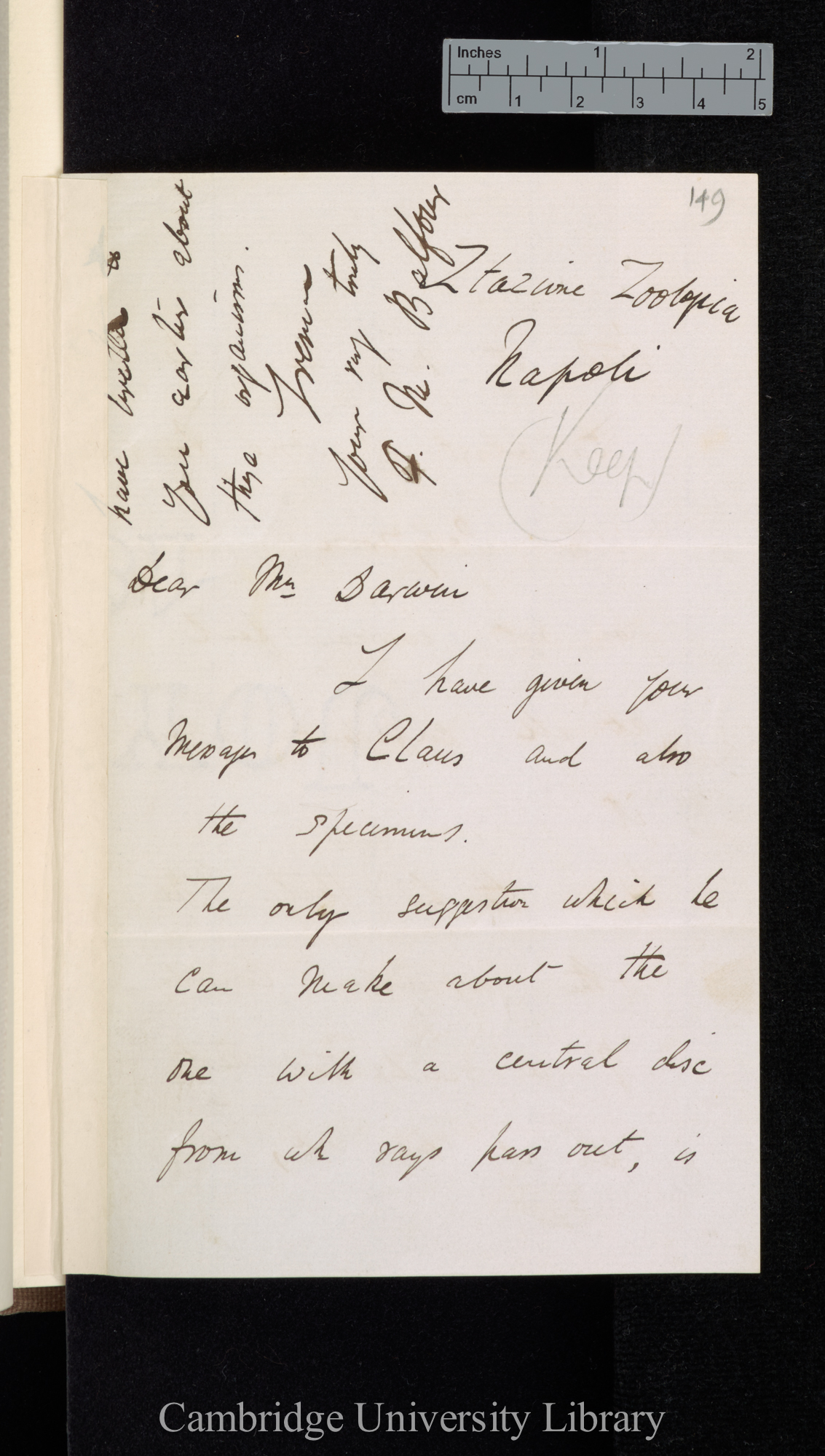 Francis Balfour to Charles Robert Darwin