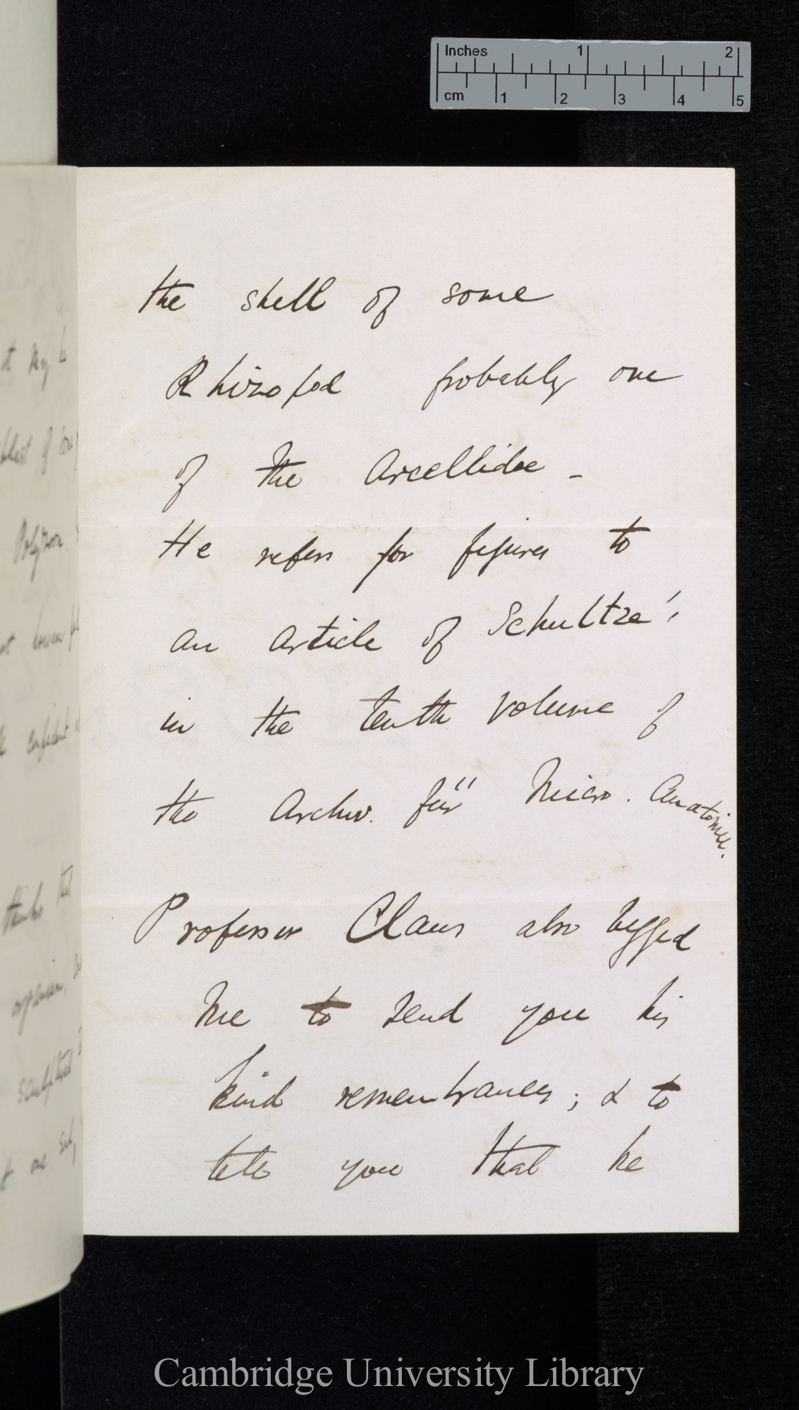 Francis Balfour to Charles Robert Darwin