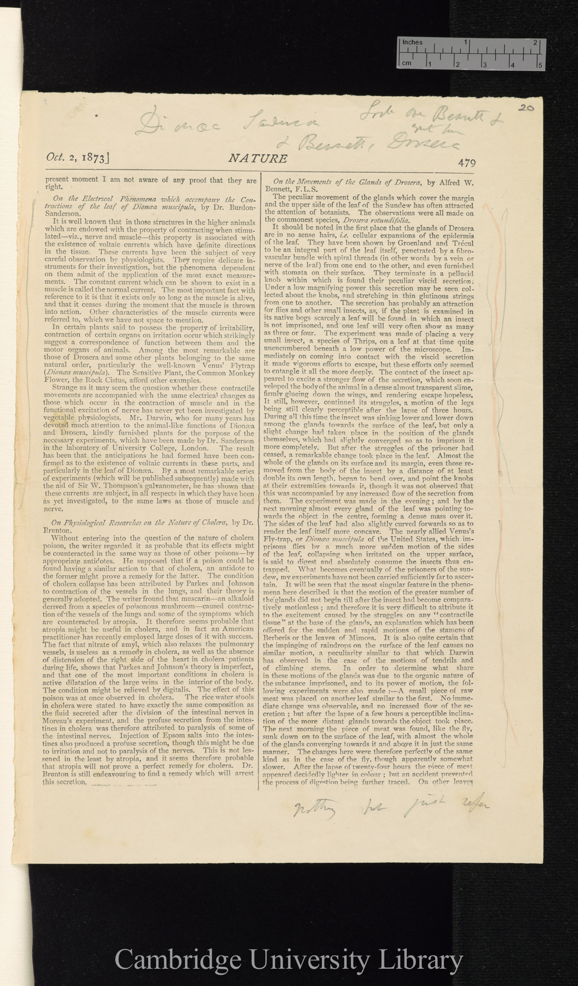 Notice of Sanderson J S B &#39;On the electrical phenomena which accompany the contractions of the leaf of Dionaea muscipula&#39; &#39;Nature&#39; 8: 479