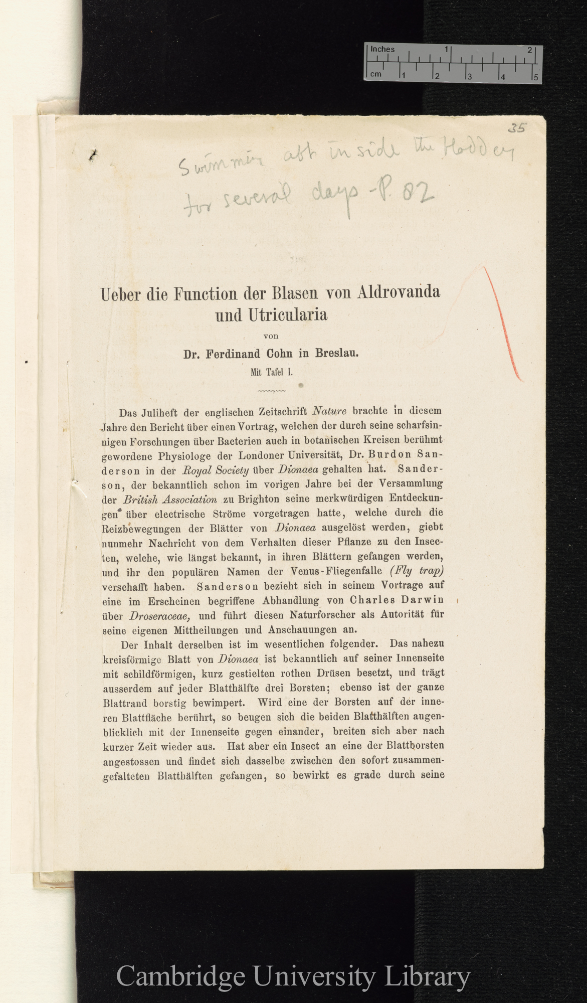 Über Function der Blasen von Aldrovanda und Utricularia &#39;Cohns Beiträge zur Biologie der Pflanzen&#39; I.iii: 71