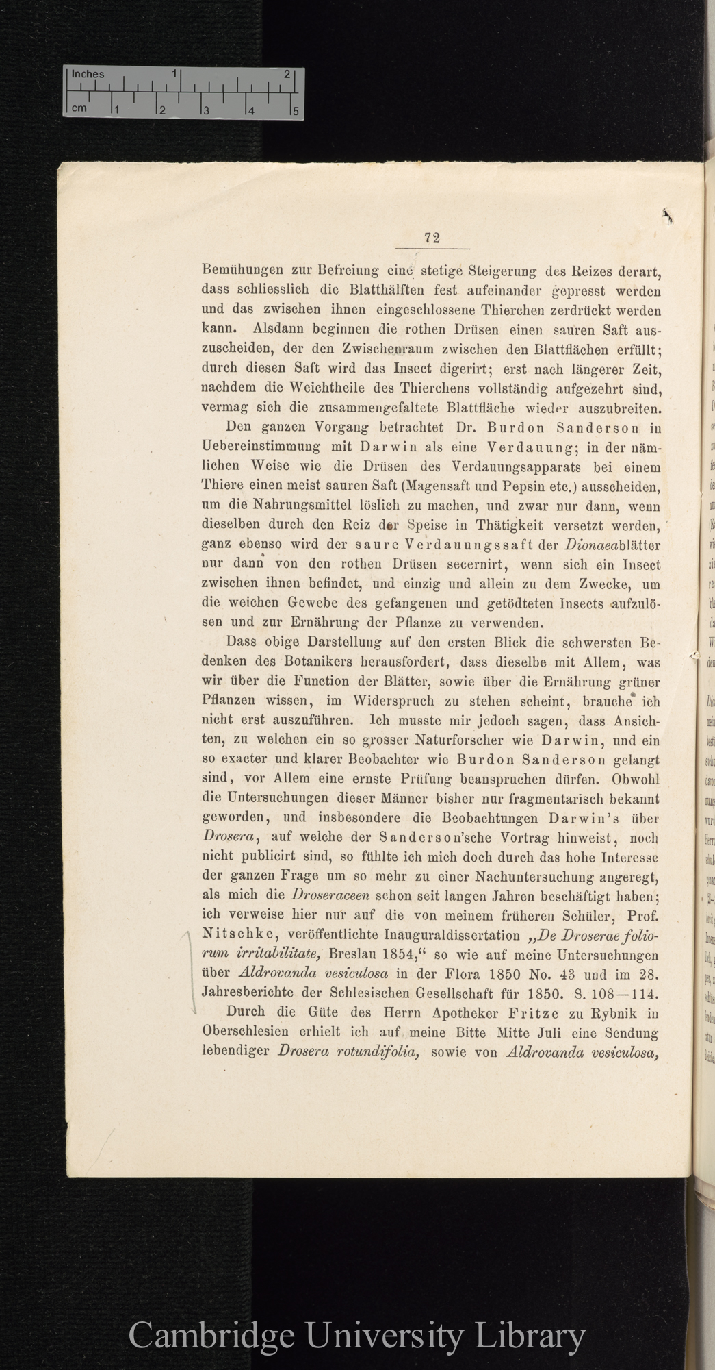 Über Function der Blasen von Aldrovanda und Utricularia &#39;Cohns Beiträge zur Biologie der Pflanzen&#39; I.iii: 72