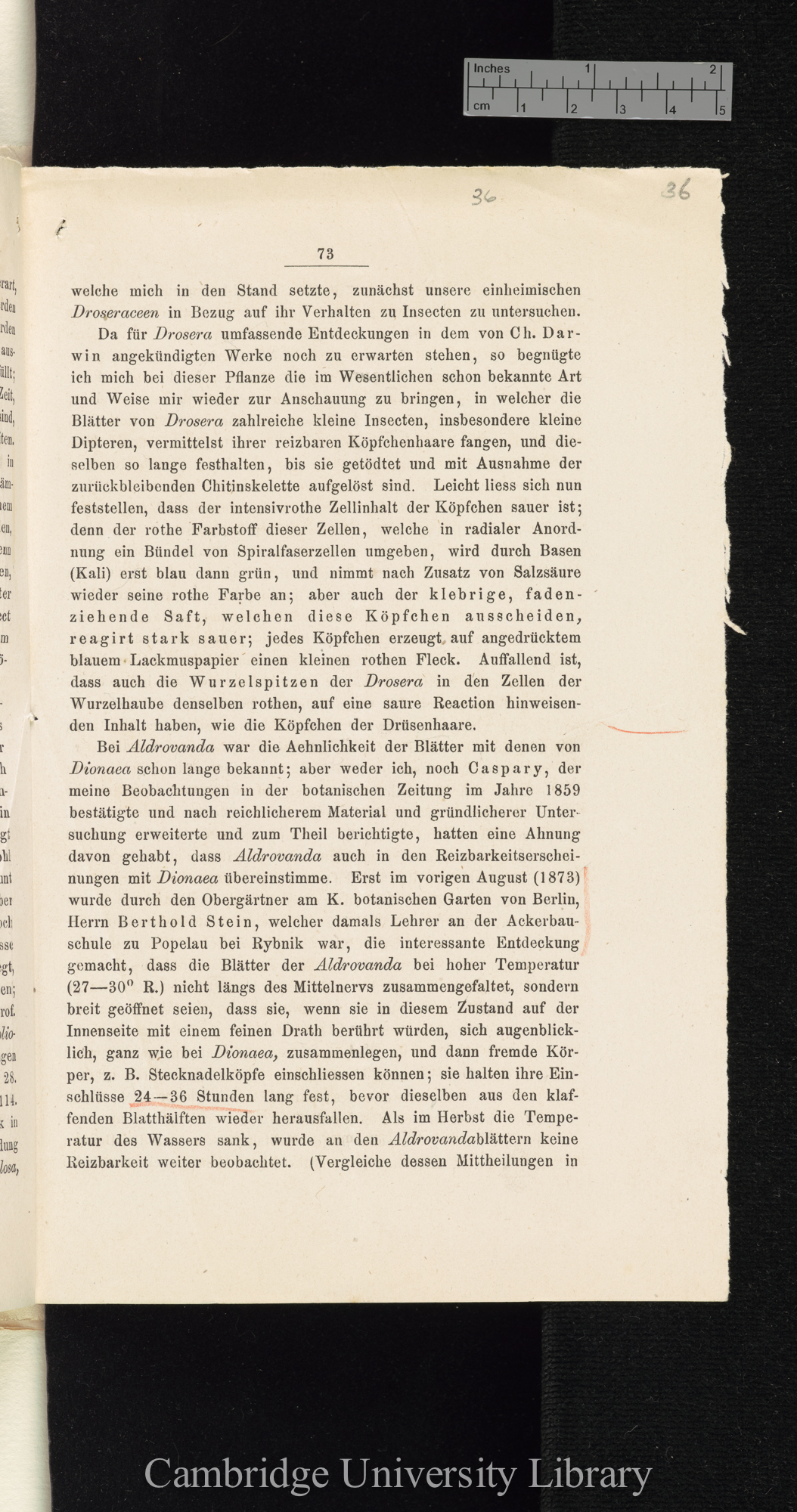 Über Function der Blasen von Aldrovanda und Utricularia &#39;Cohns Beiträge zur Biologie der Pflanzen&#39; I.iii: 73