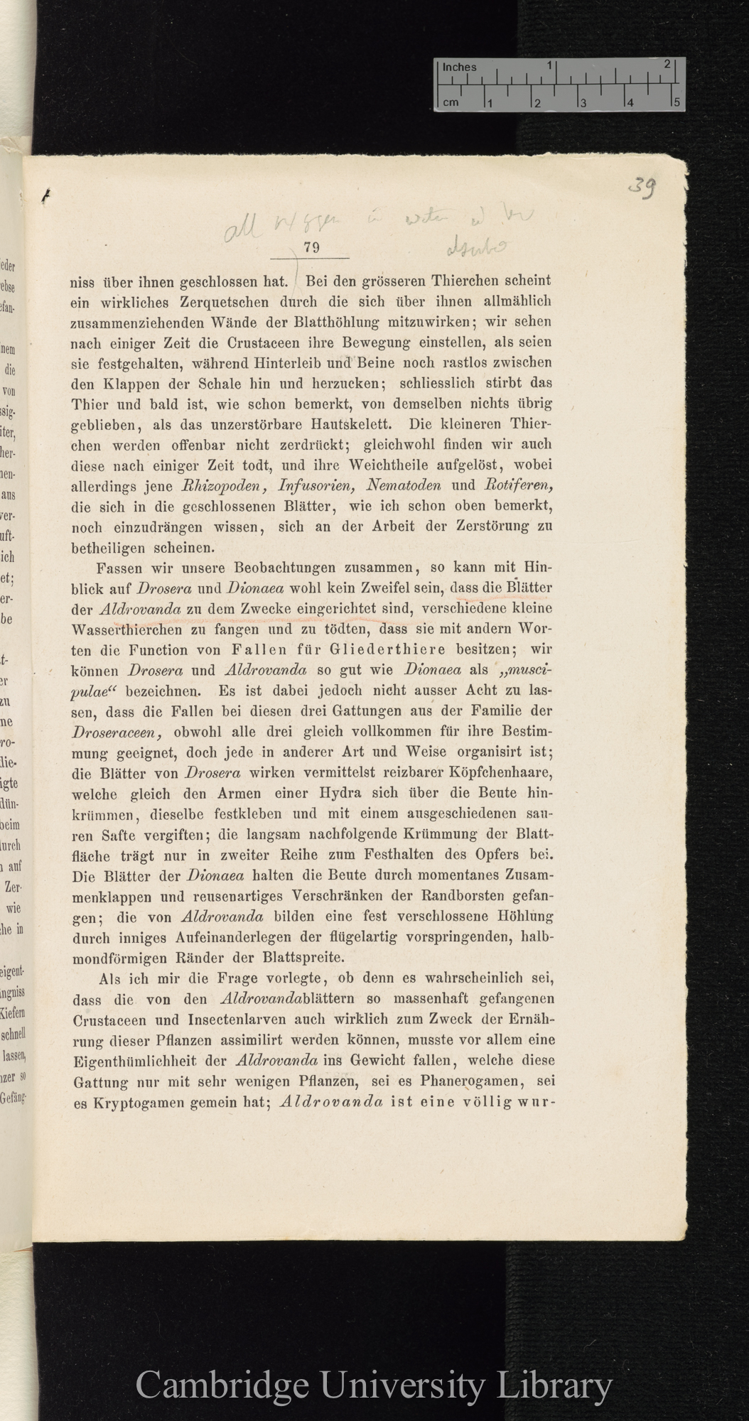 Über Function der Blasen von Aldrovanda und Utricularia &#39;Cohns Beiträge zur Biologie der Pflanzen&#39; I.iii: 79